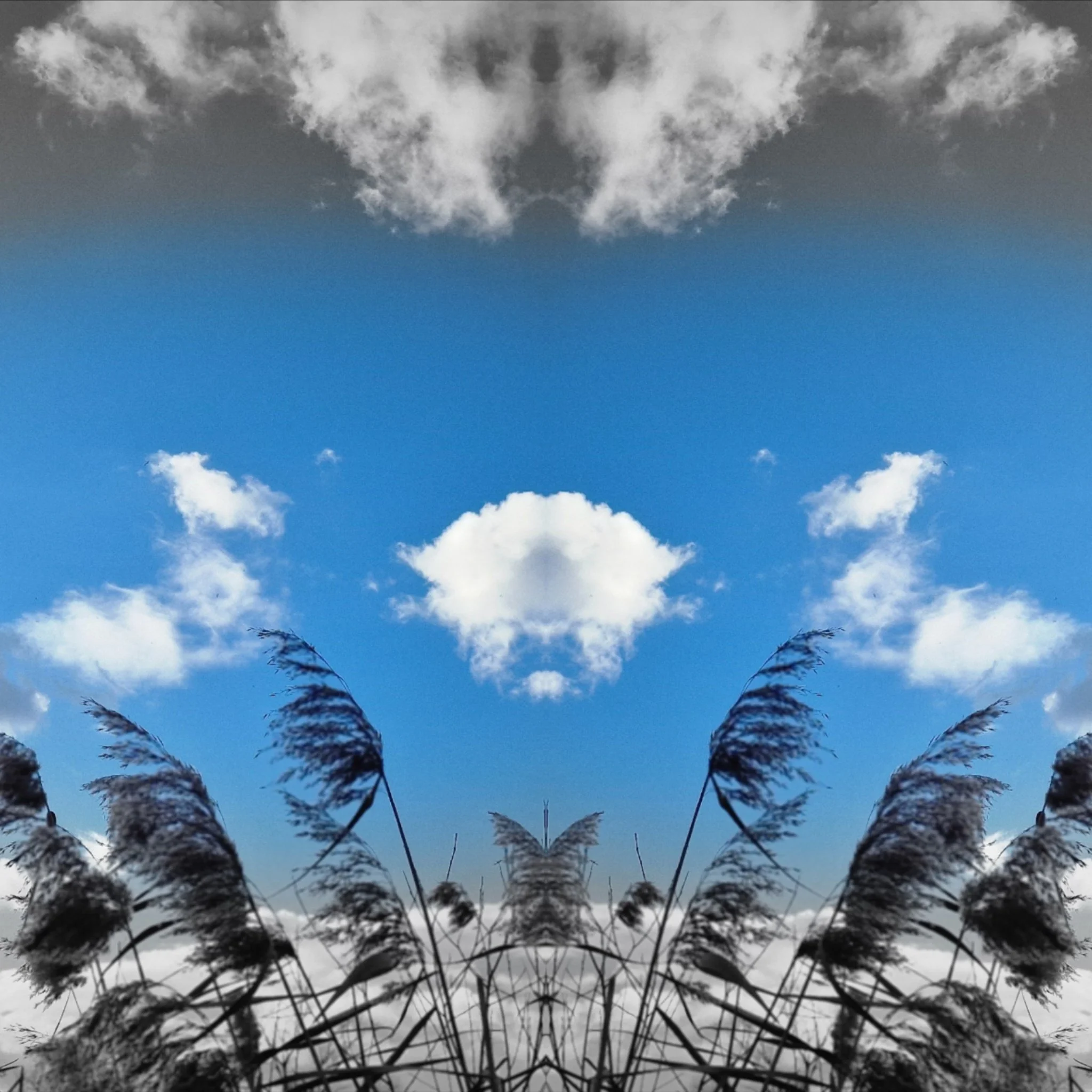 PORTALS / Dream Mirrors