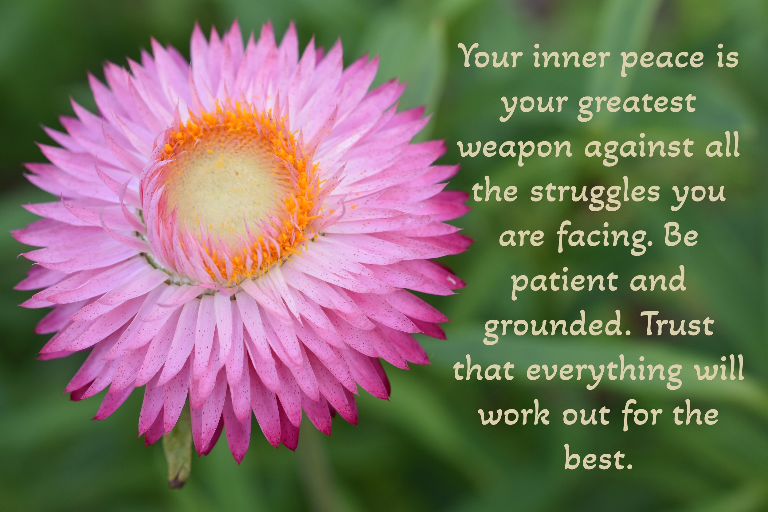 Your inner peacejpg.jpeg