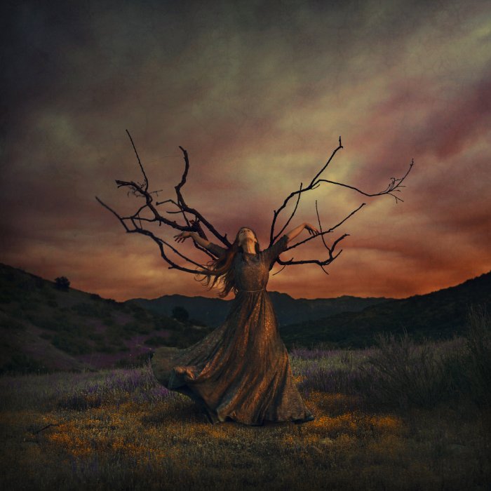 tree_imagery11-SELECT.jpg