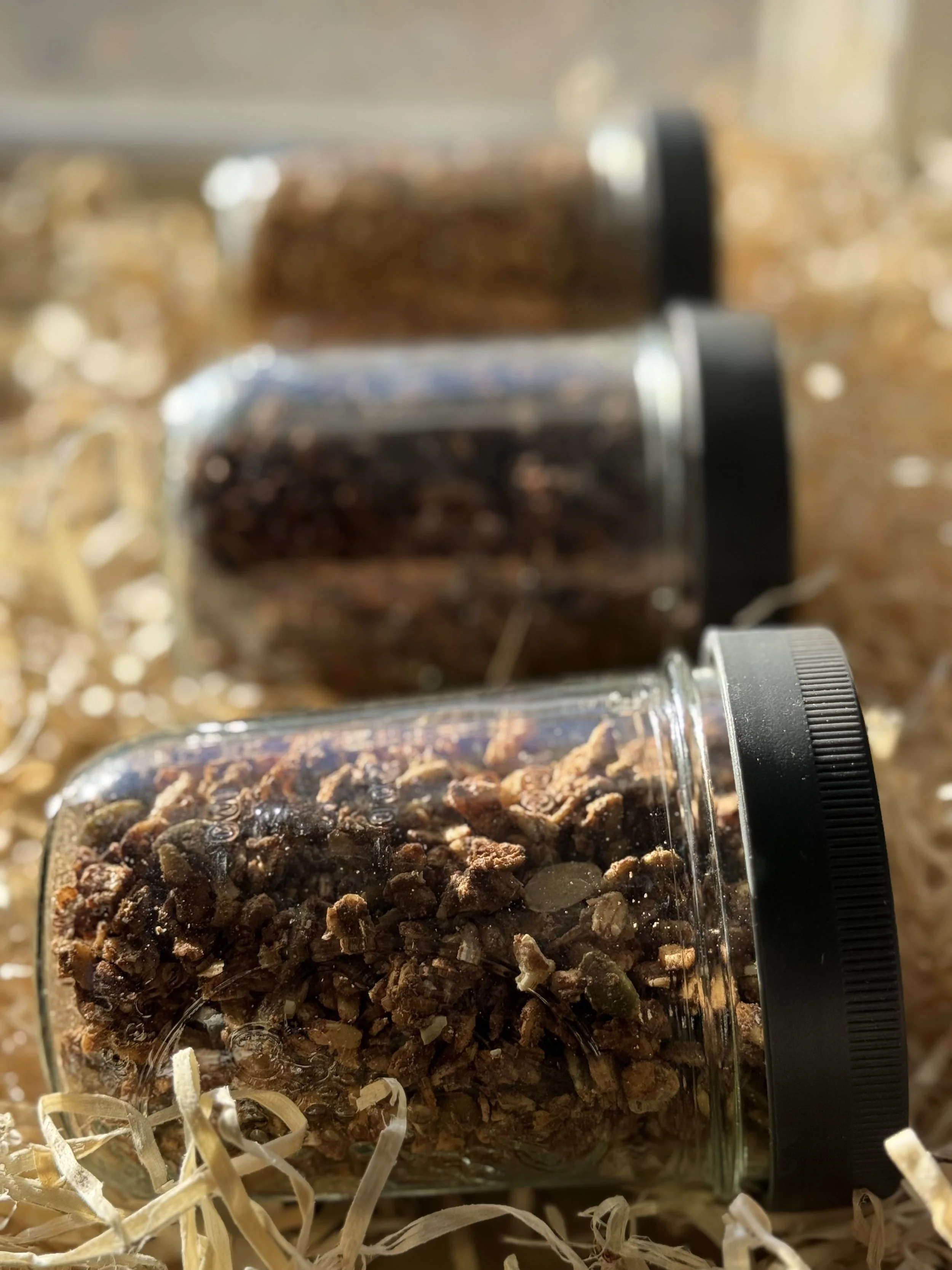 Granola Jars in box.jpg