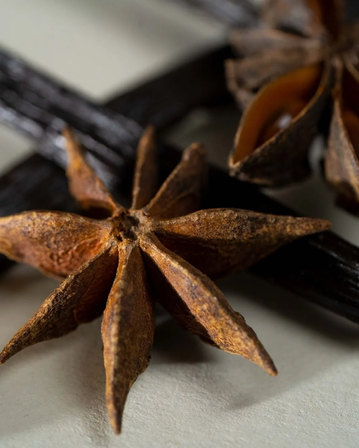 Sternanis ist nicht nur h&uuml;bsch anzusehen, sein besonderer Geschmack, der s&uuml;&szlig;lich, gleichzeitig herb, erdig und erfrischend ist, macht sich gut in Gl&uuml;hwein, Punsch, im Chai und in Weihnachtsbaeckerei. Und wie so viele Gew&uuml;rze