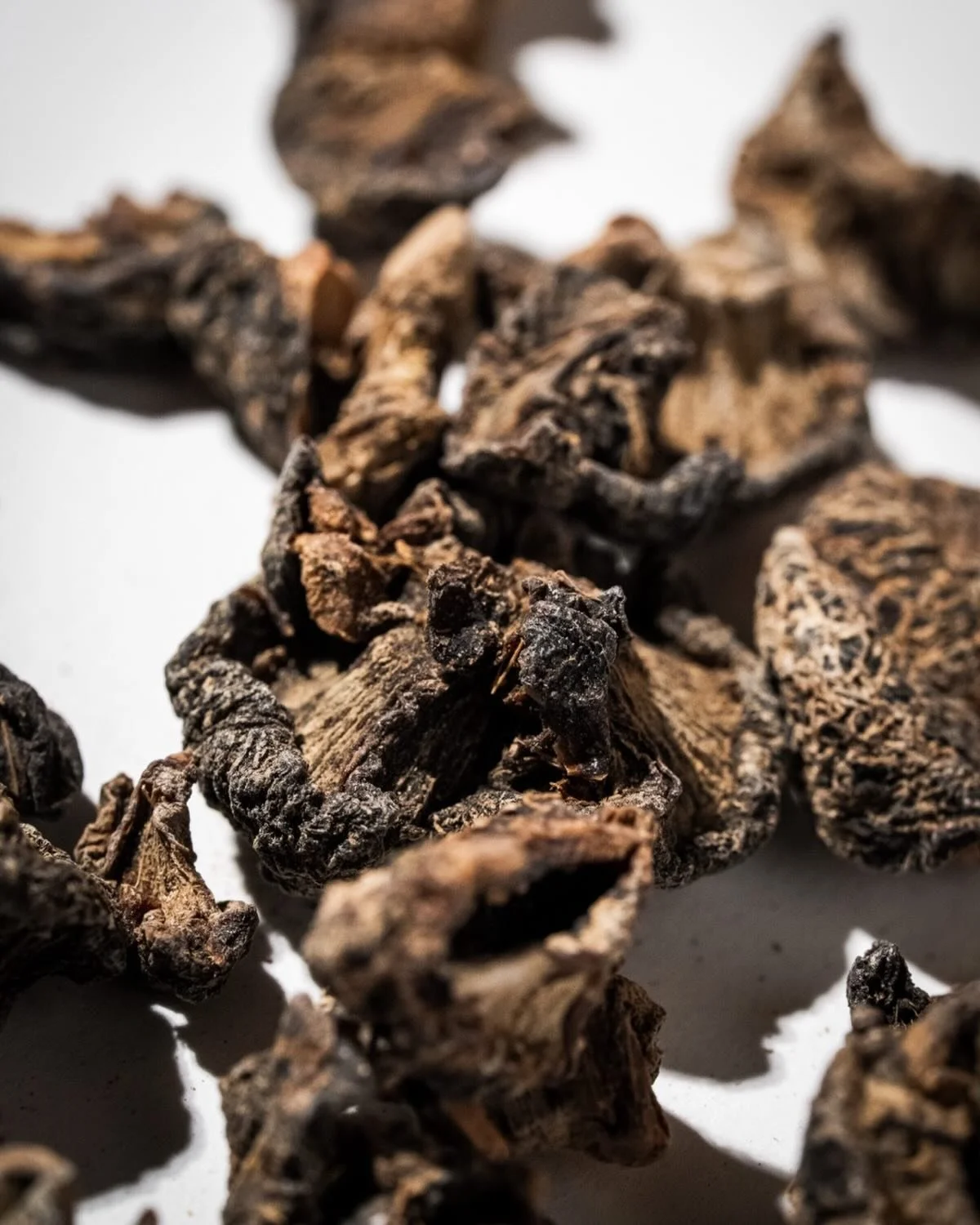 AMALAKI: die indische Stachelbeere, die es in sich hat. Sie enth&auml;lt viel Vitamin C und gilt daher als wirkungsvolles Antioxidans, das kraftvoll gegen Entz&uuml;ndungen sein soll, gegen M&uuml;digkeit und Ersch&ouml;pfung wirkt und die Verdauung 