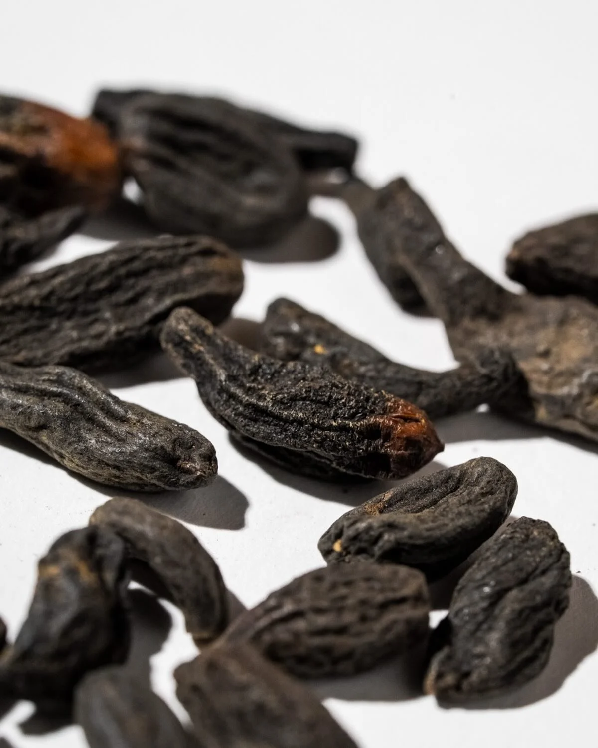 HARITAkI: eine tropische Frucht aus der Familie der Myrobalanen, die im Ayurveda und in der tibetischen Naturheilkunde als Verjuengungsmittel gilt. HARITAkI hat alle Geschmacksrichtungen au&szlig;er salzig, bringt den K&ouml;rper ins Gleichgewicht. E