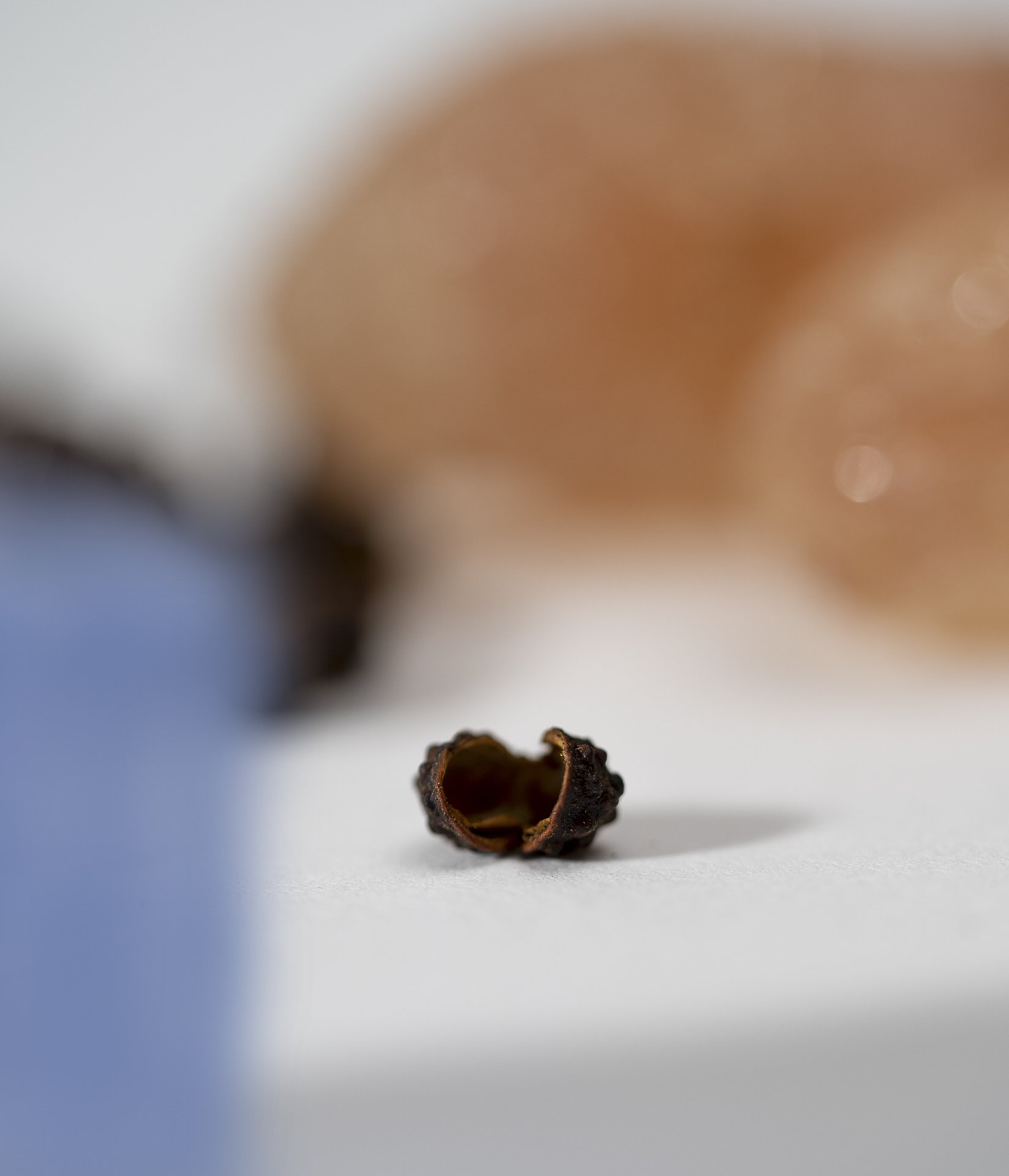 Szechuanpfeffer