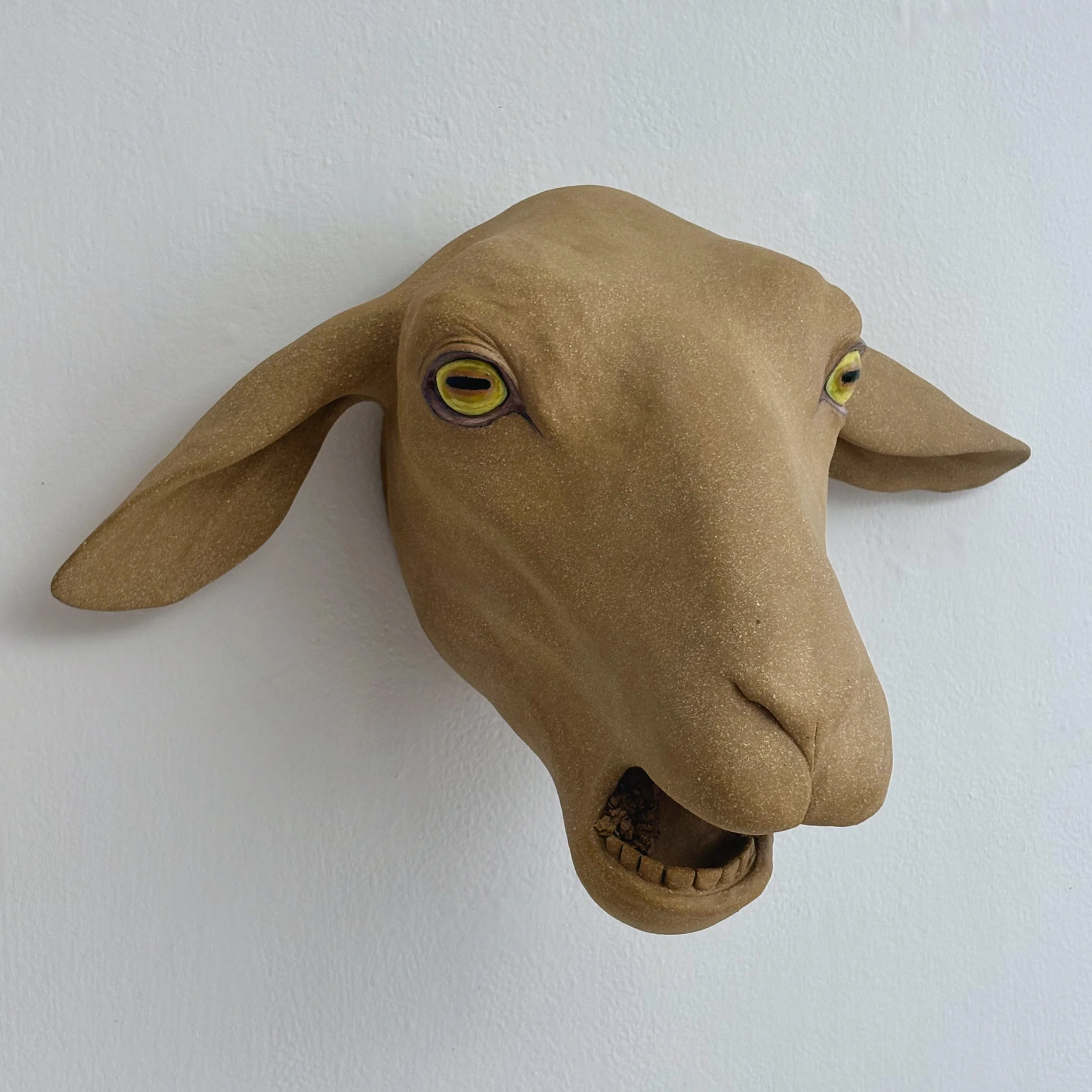      
  
     Explaining Themselves   ceramic, 63" x 18" x 17", 2026  


  
 #block-51fc8e1c73fc5f684b64 {
    
    --stroke-style: none;--stroke-thickness: 6px;
    
      
      
      
    



  }

  #block-51fc8e1c73fc5f684b64 .sqs-html-content 