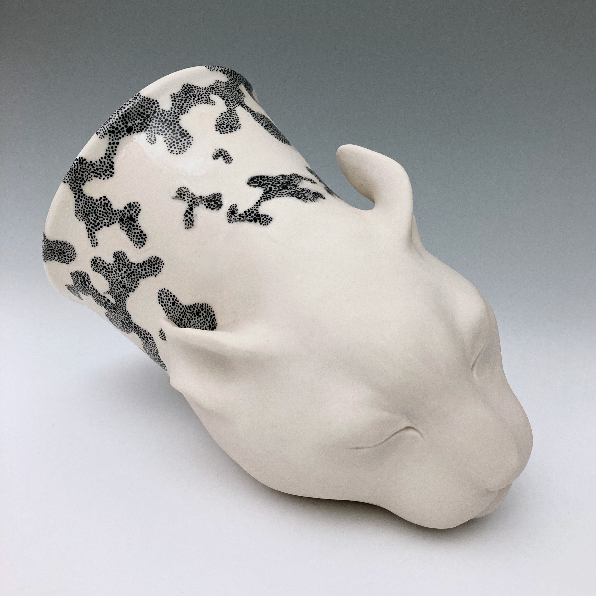       
  
     Cat Rhyton   ceramic, 7” x 6” x 4.5”, 2026  


  
 #block-5d1fc146cd3f869527eb {
    
    --stroke-style: none;--stroke-thickness: 6px;
    
      
      
      
    

--tweak-text-block-background-color: initial;

  }

  #block-5d1fc1