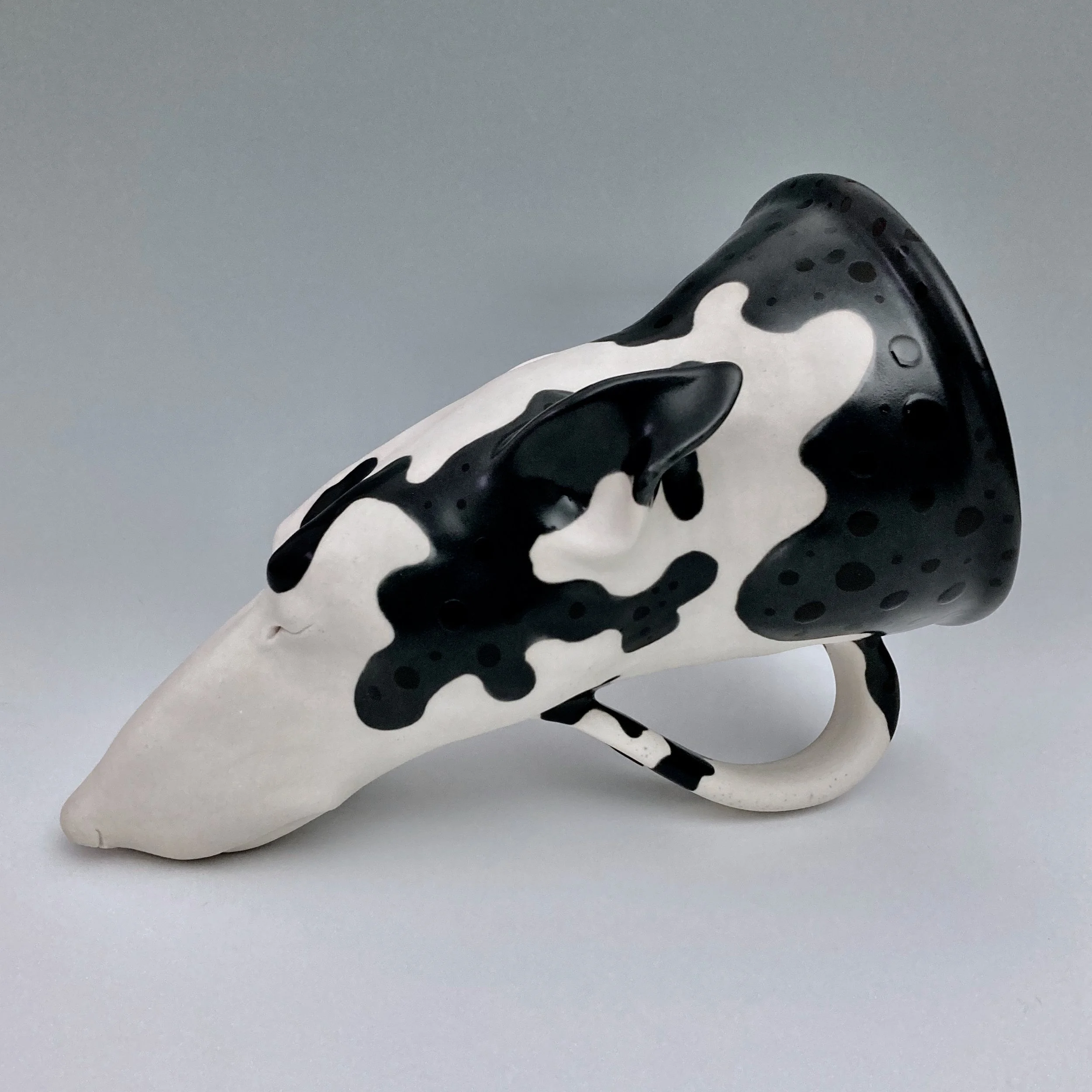       
  
     Dog Rhyton   ceramic, 10” x 7” x 6.5”, 2026  


  
 #block-4249f9bd4938b60f8b27 {
    
    --stroke-style: none;--stroke-thickness: 6px;
    
      
      
      
    

--tweak-text-block-background-color: initial;

  }

  #block-4249f
