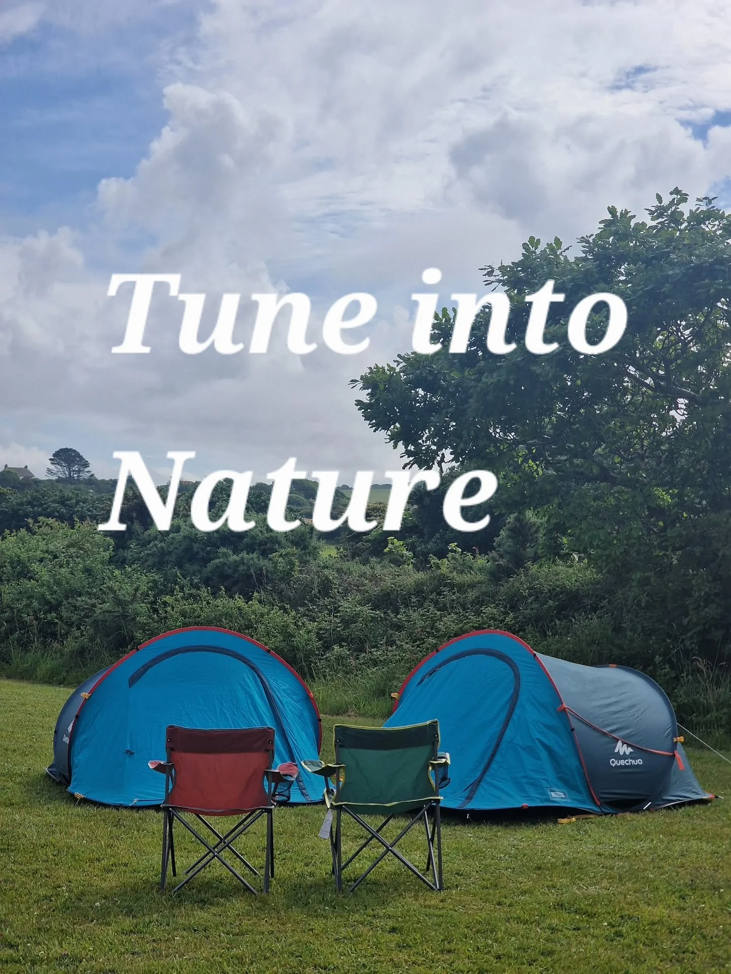 Tune into nature @suncirclemeadows 
#Camping
#cornwall campsite 
Glamping
##cornwall