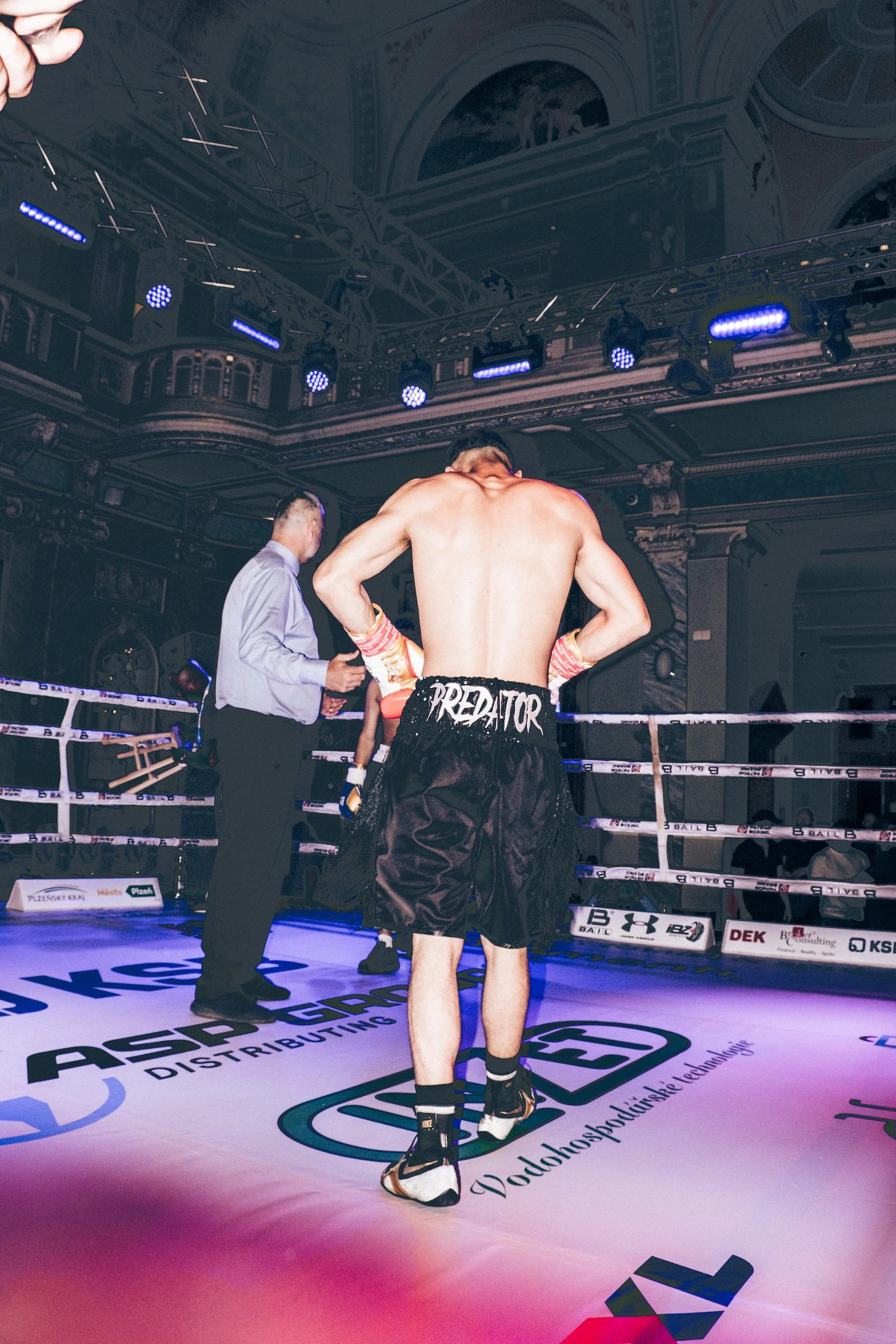 box - ondra .jpg