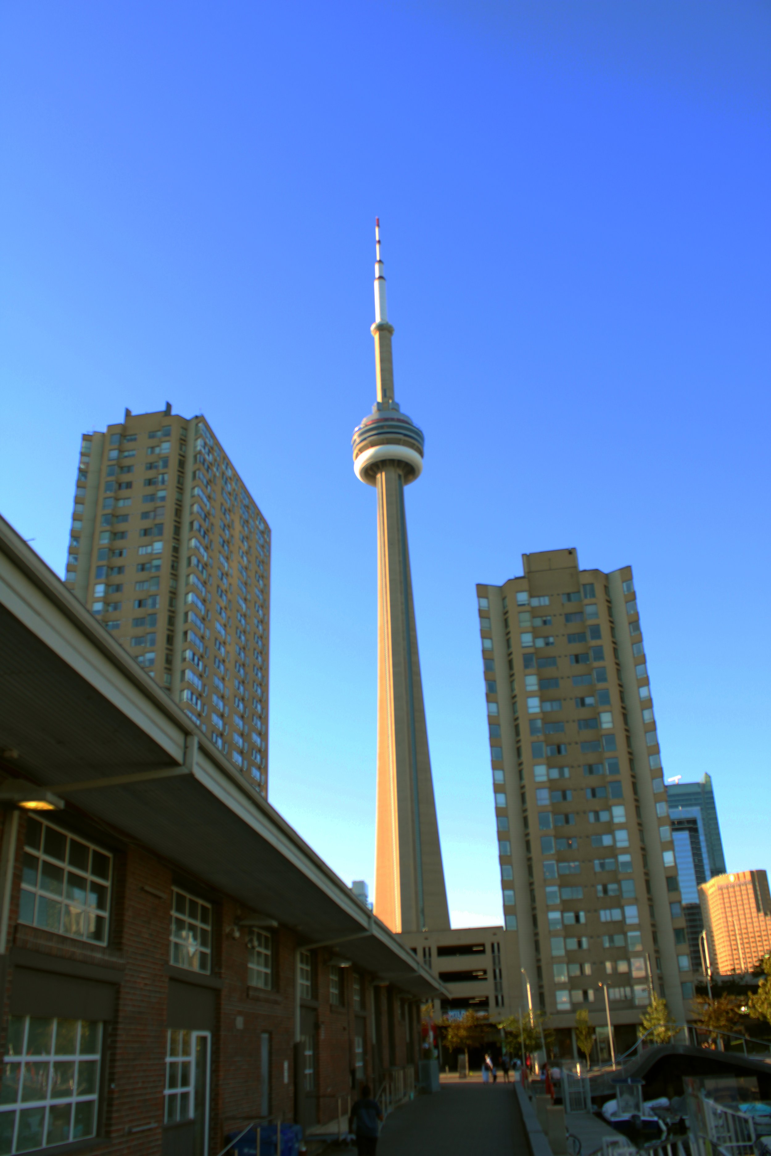 CN Tower 1.jpg