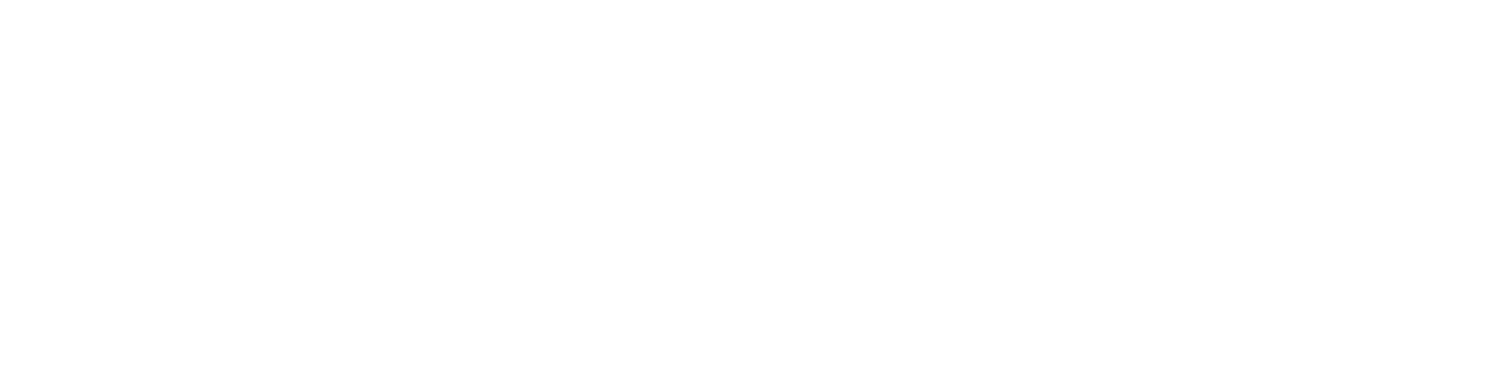 DISC PUPPY