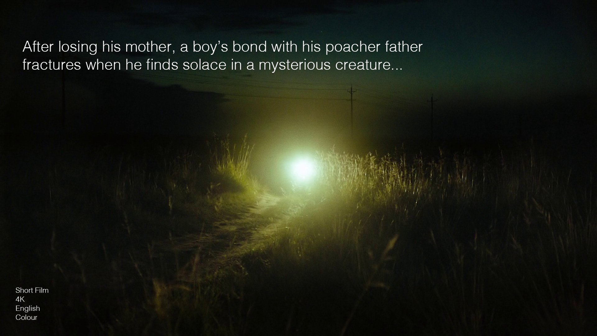 NO MEAT WASTED PITCH DECK copy2.jpg