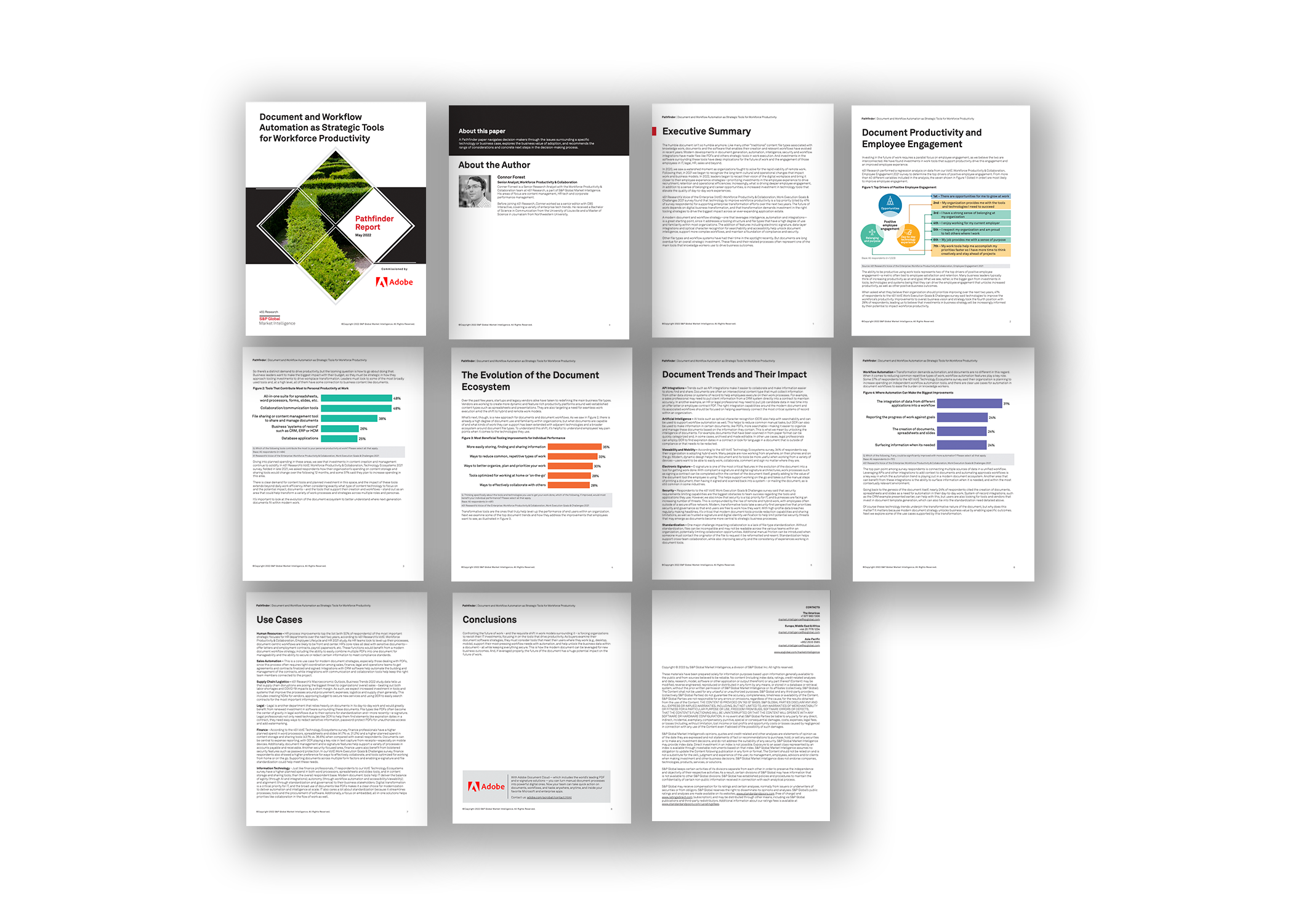 Expand Acrobat - Analyst Report