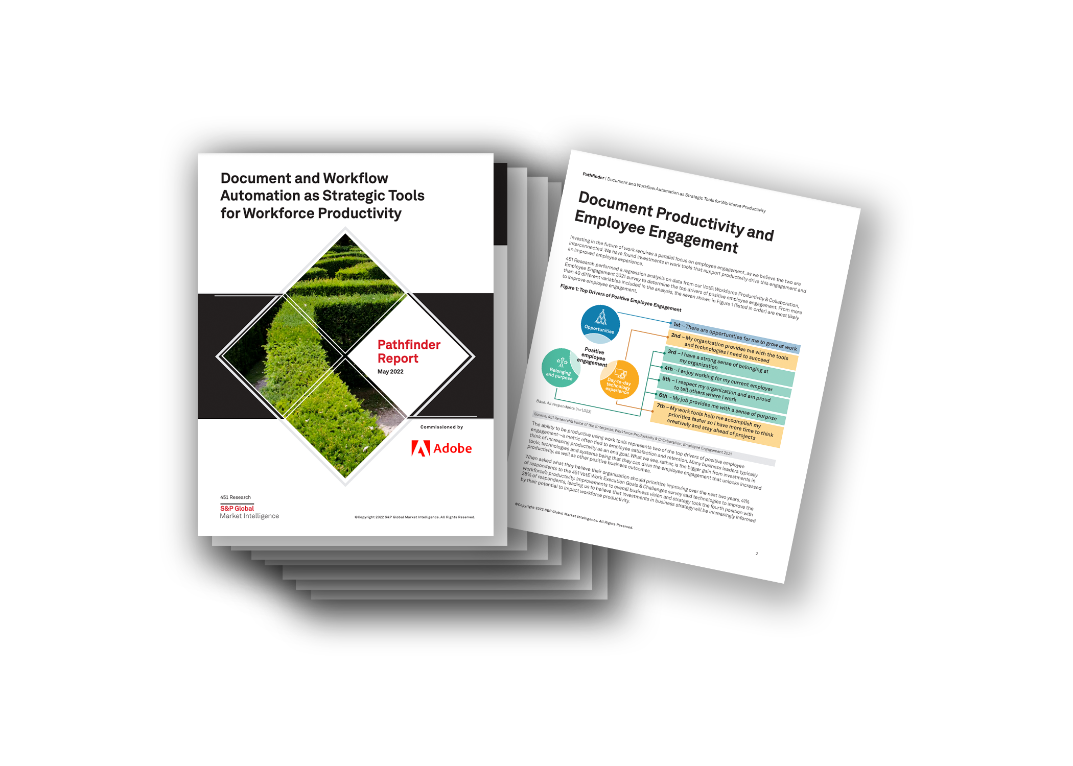 Expand Acrobat - Analyst Report