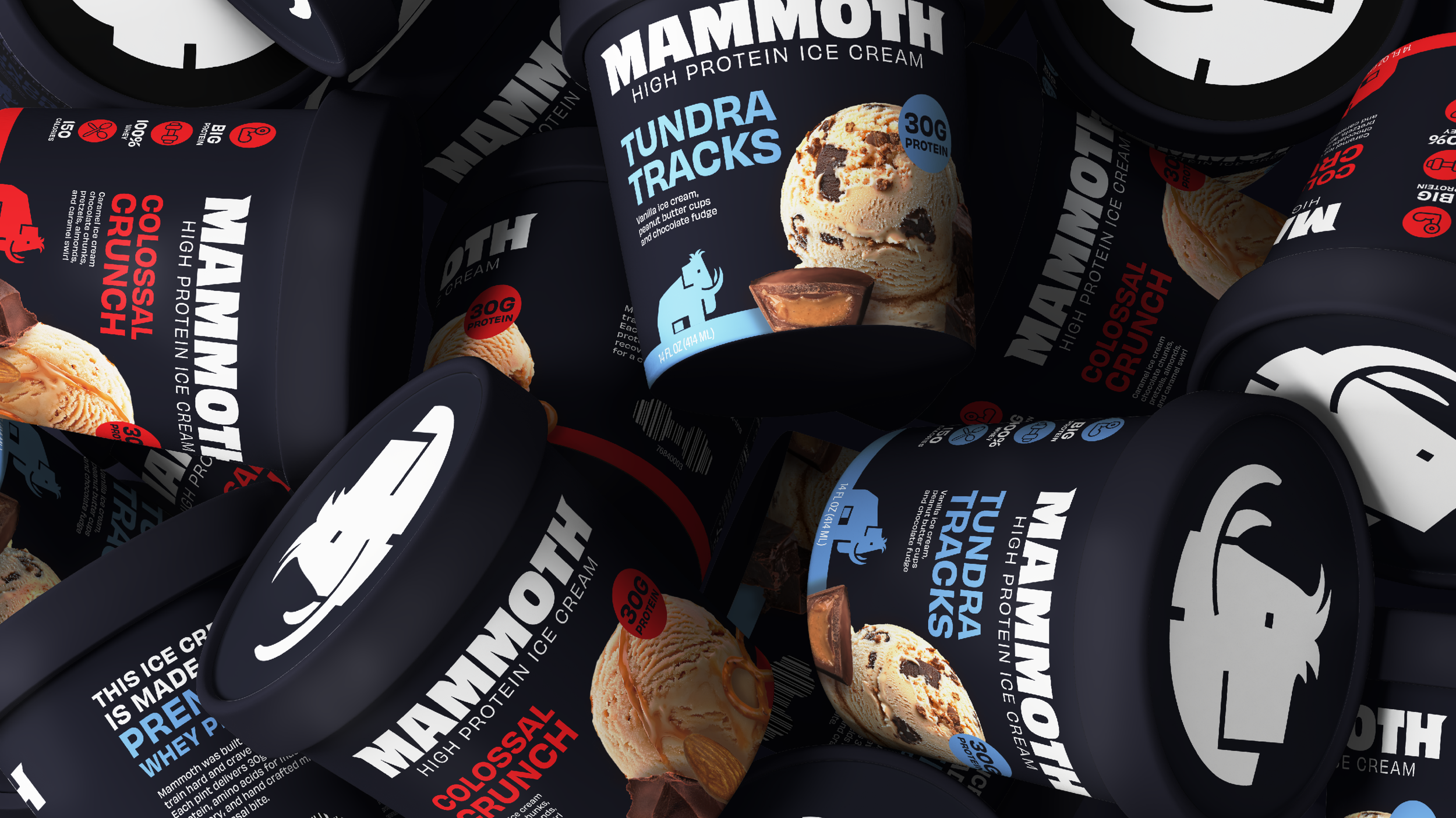 Mammoth_website_gallery5.png