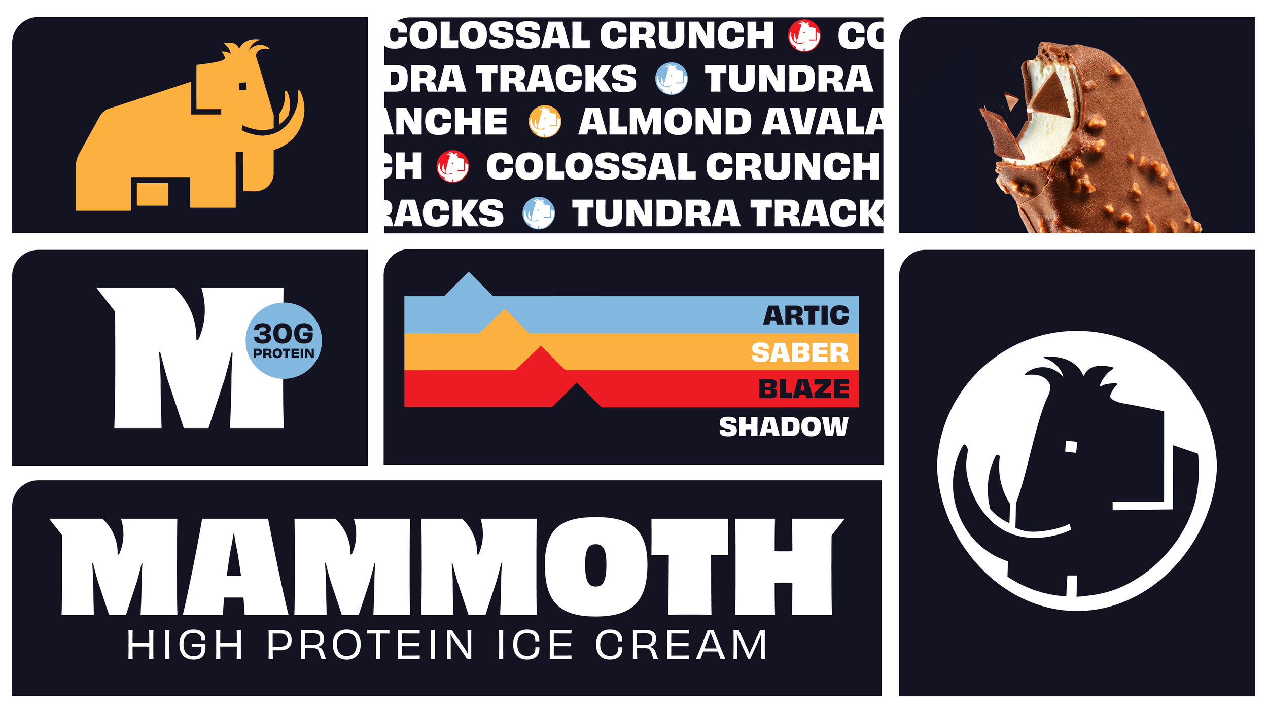 Mammoth_website_gallery3.png