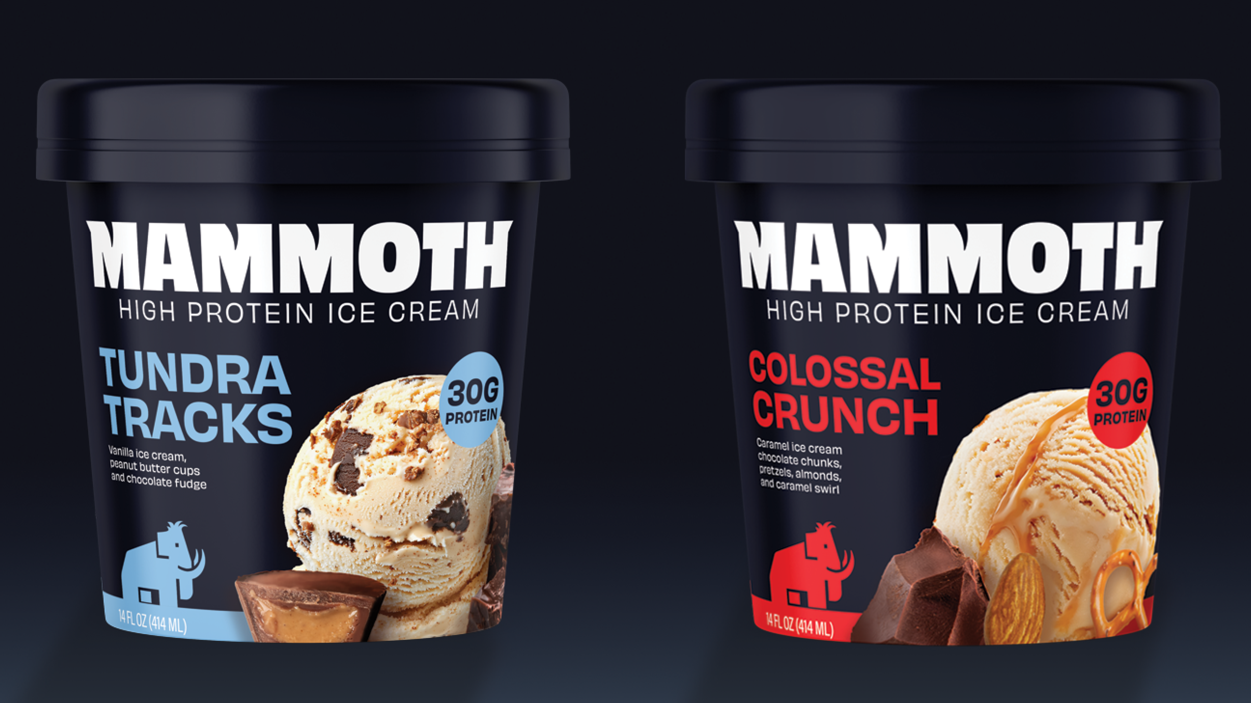 Mammoth_website_gallery4.png