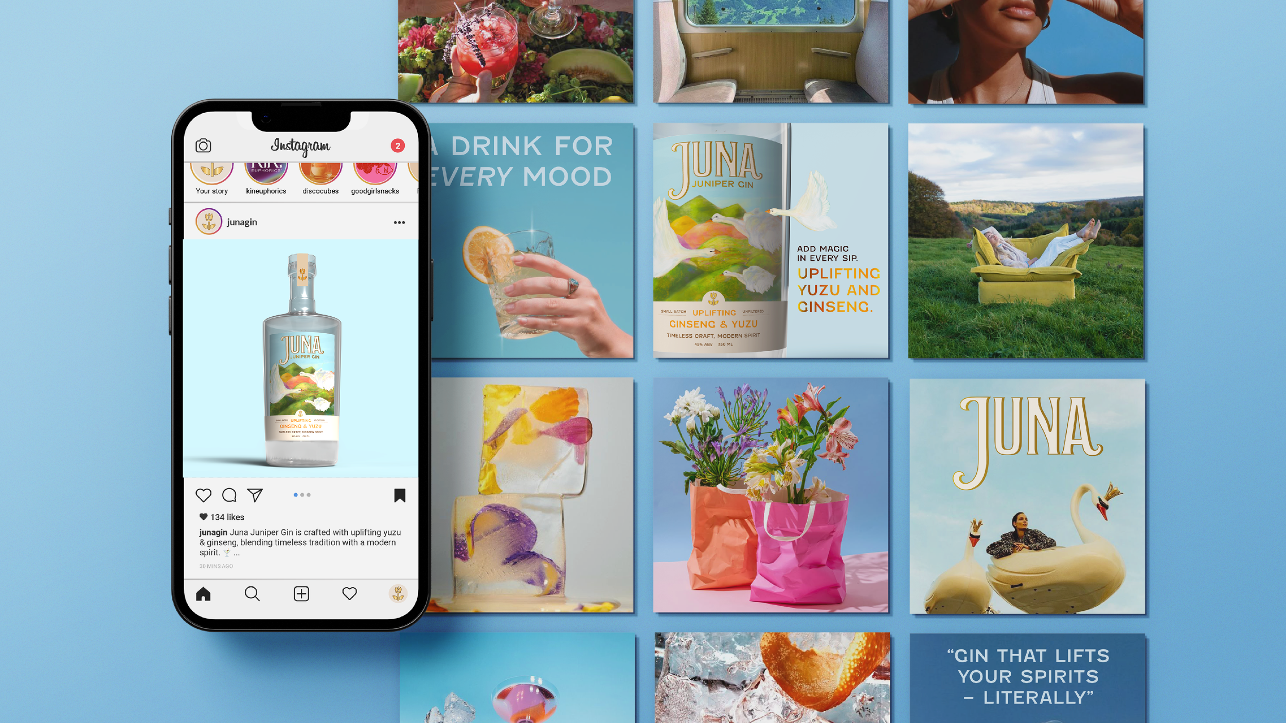 juna_website_gallery6.png