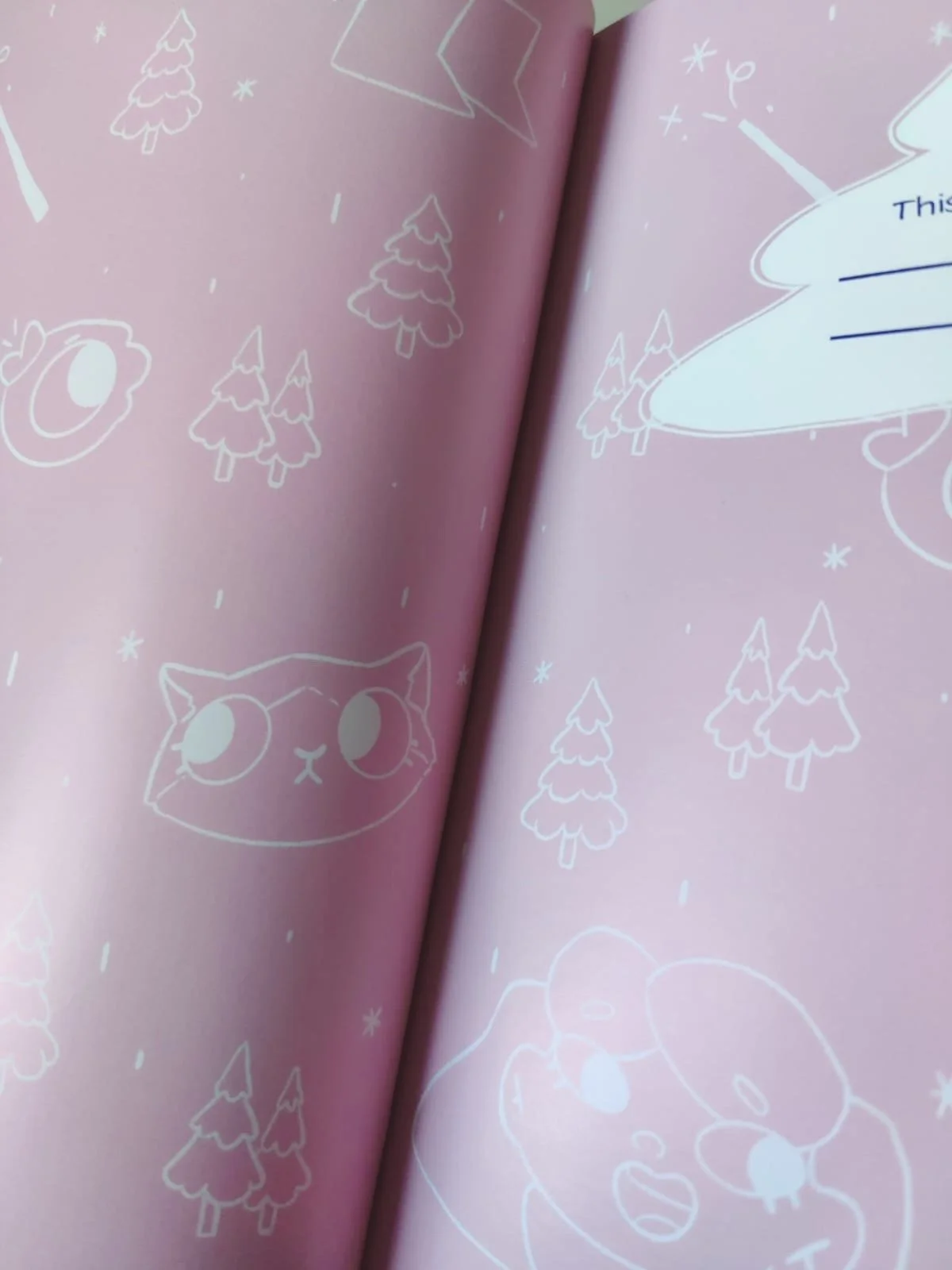 Photography of the inner covers of 'The Confidence Trick'