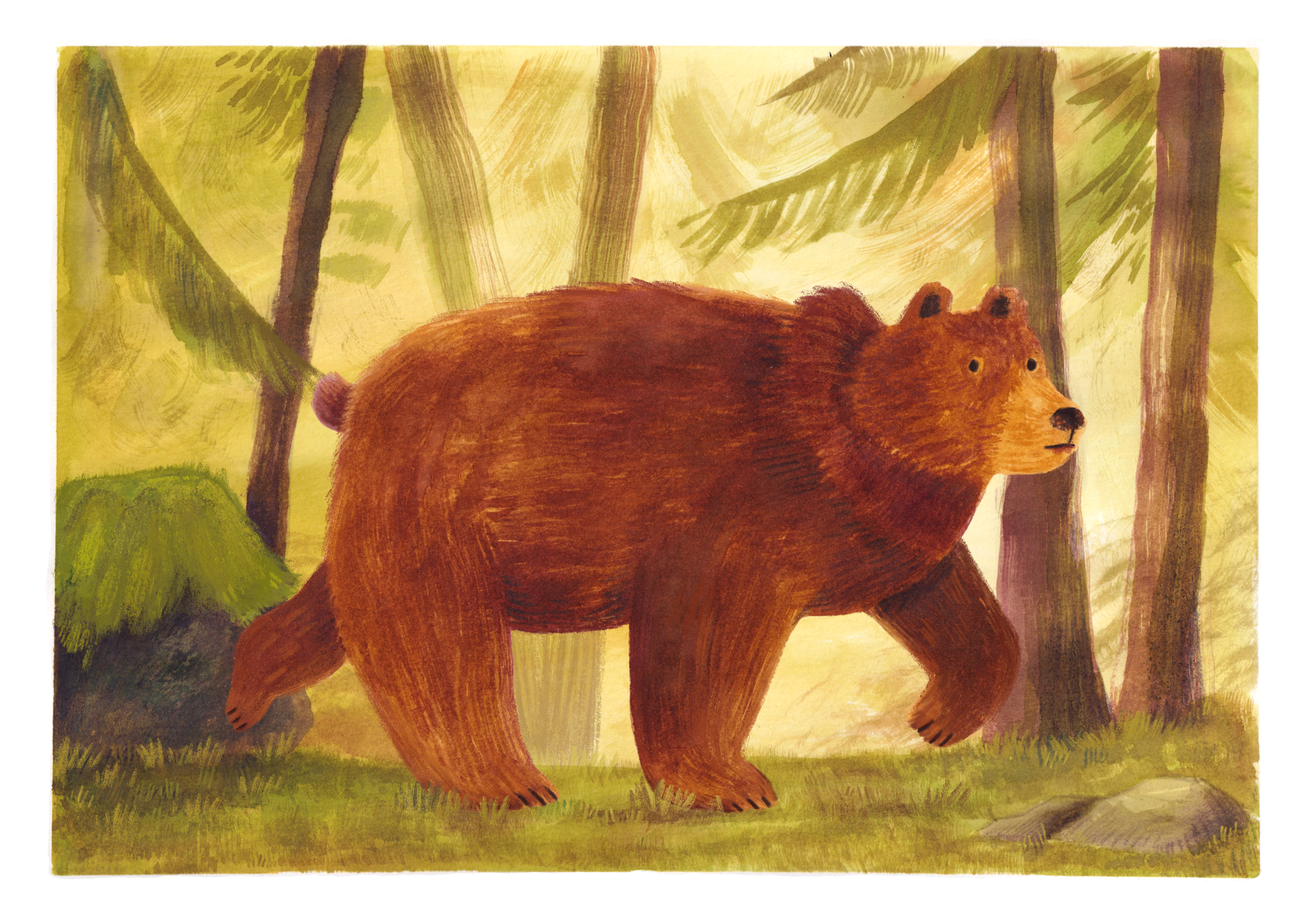bear print.PNG