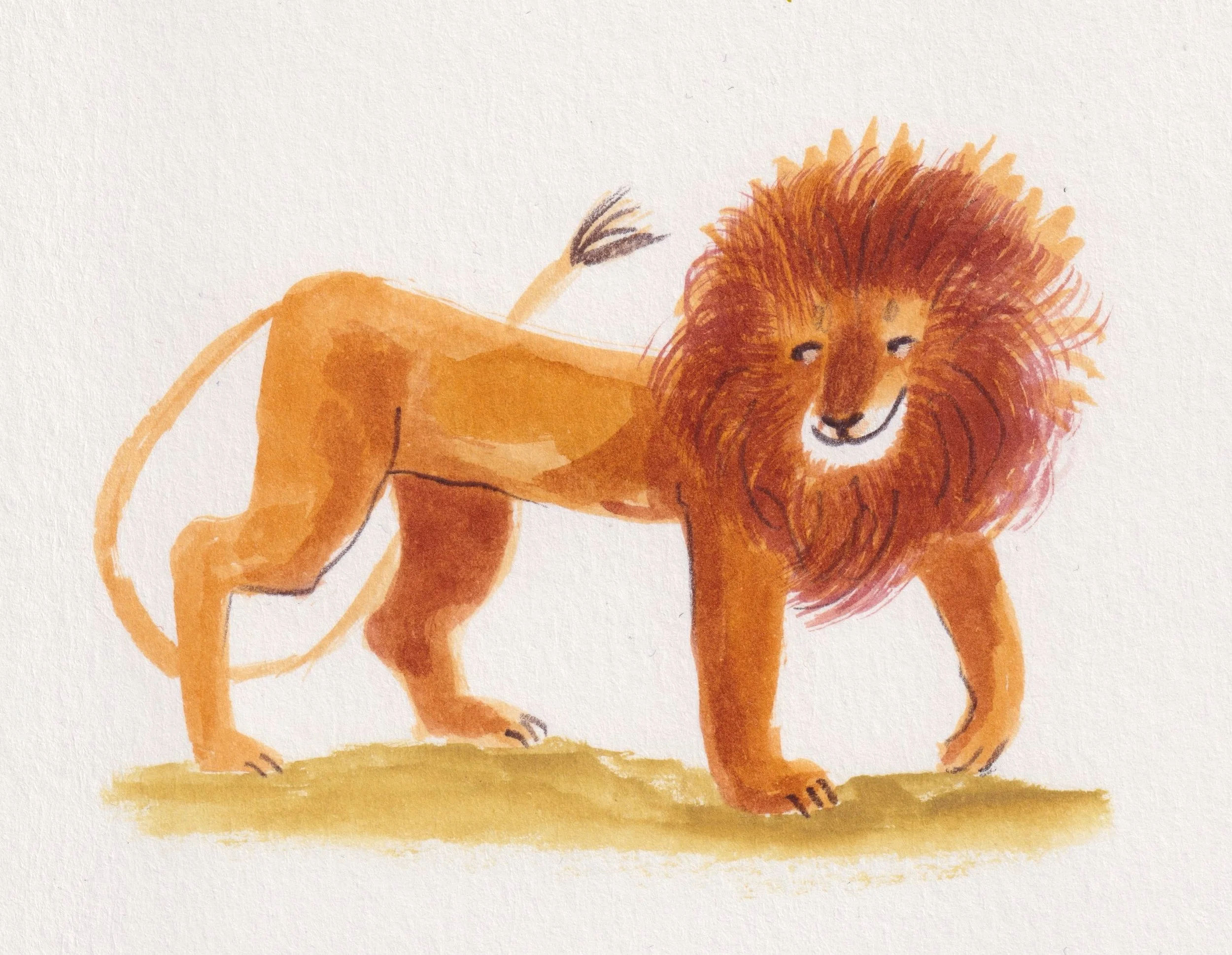 early illustration of Lion