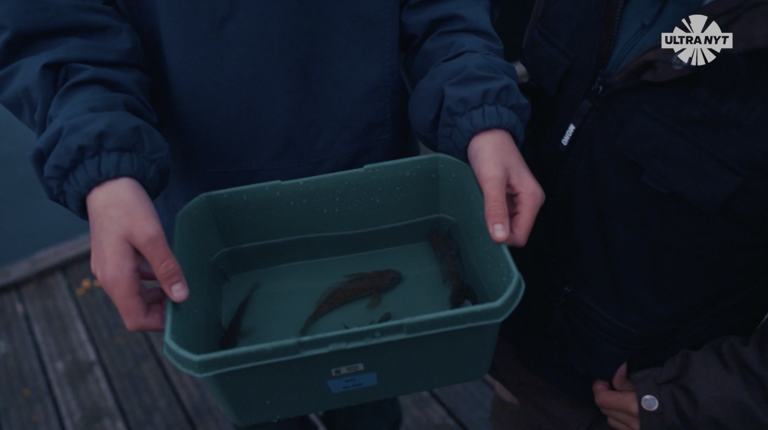 Skærmbillede 2025-11-28 kl. 11.43.54.png