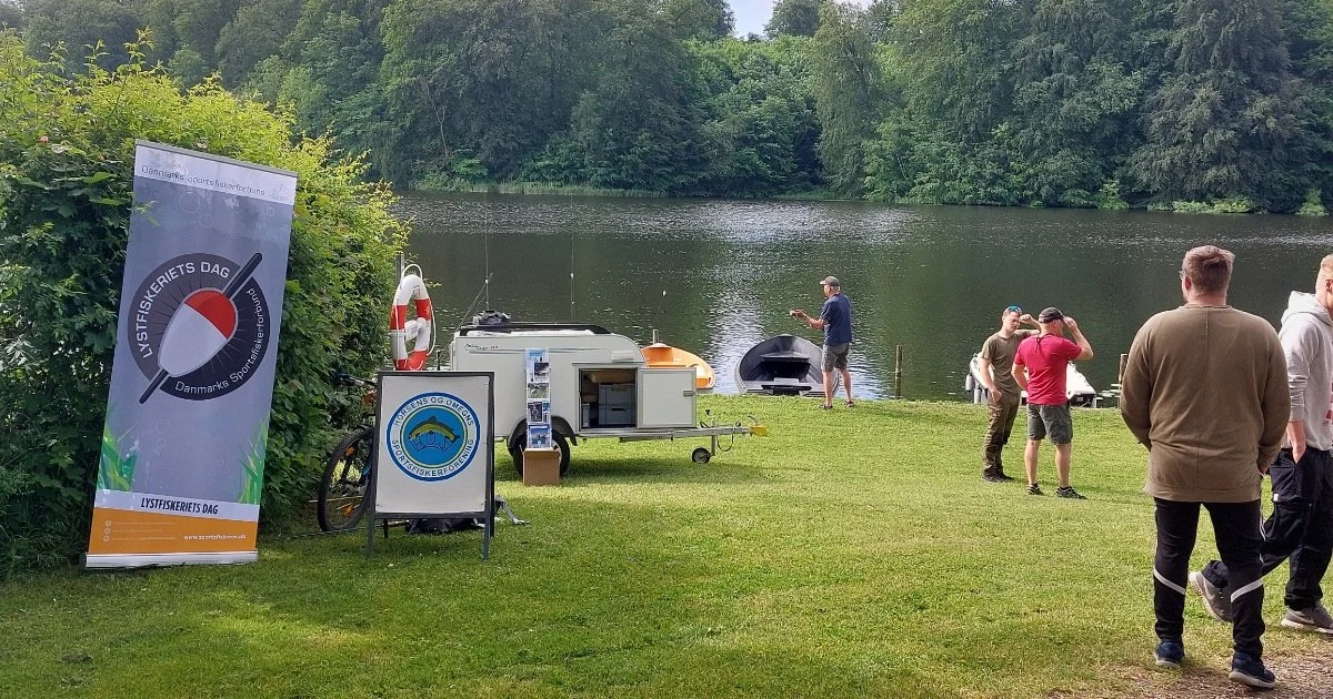 Kom og fisk i Bygholm Sø i Horsens