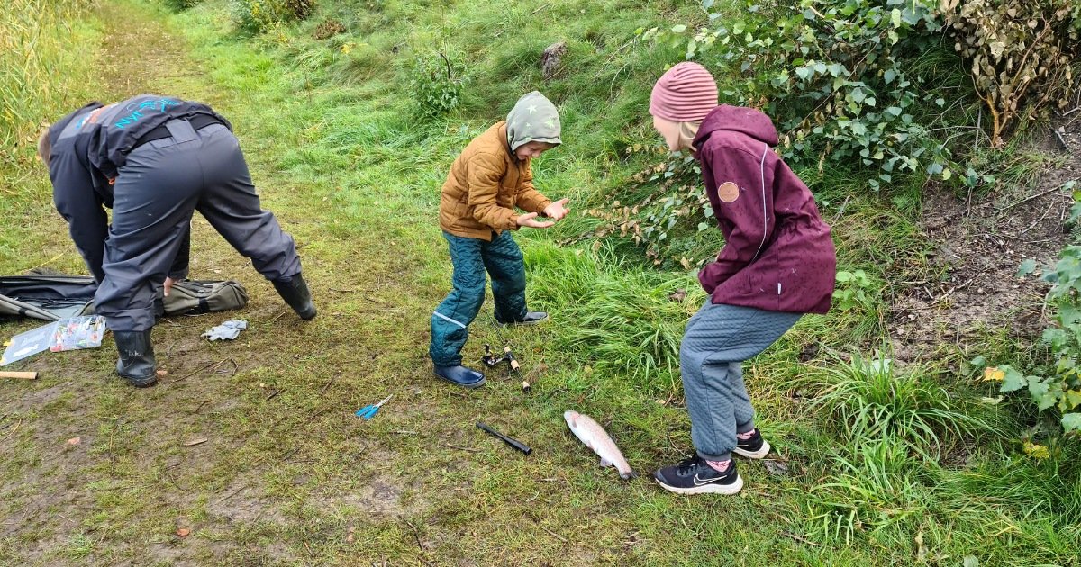 Ørredfiskeri for unge 10-18 år i Ladegårdssøen, Frederiksværk