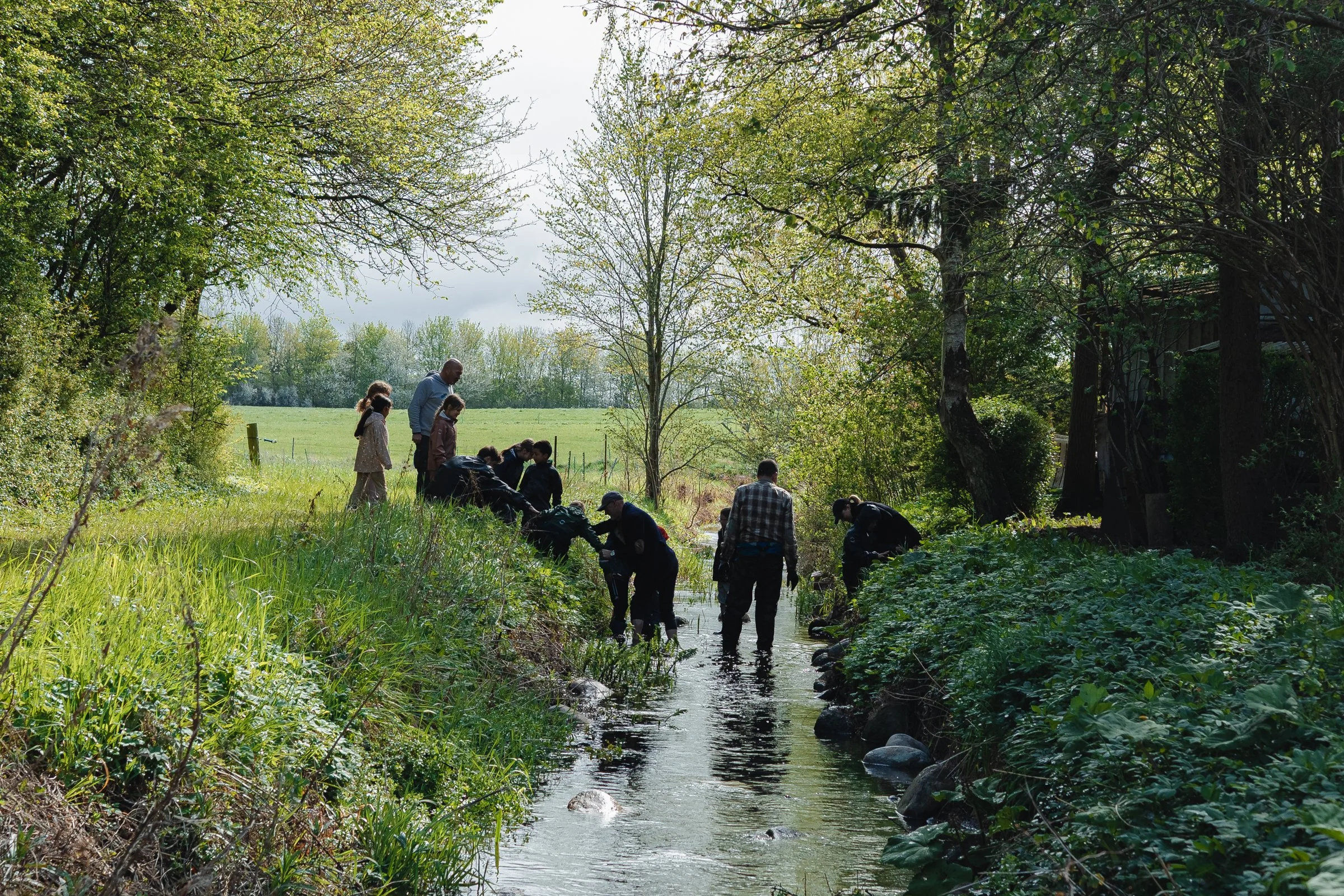 260504_FAK_Vandrødderne_min-2373.jpg