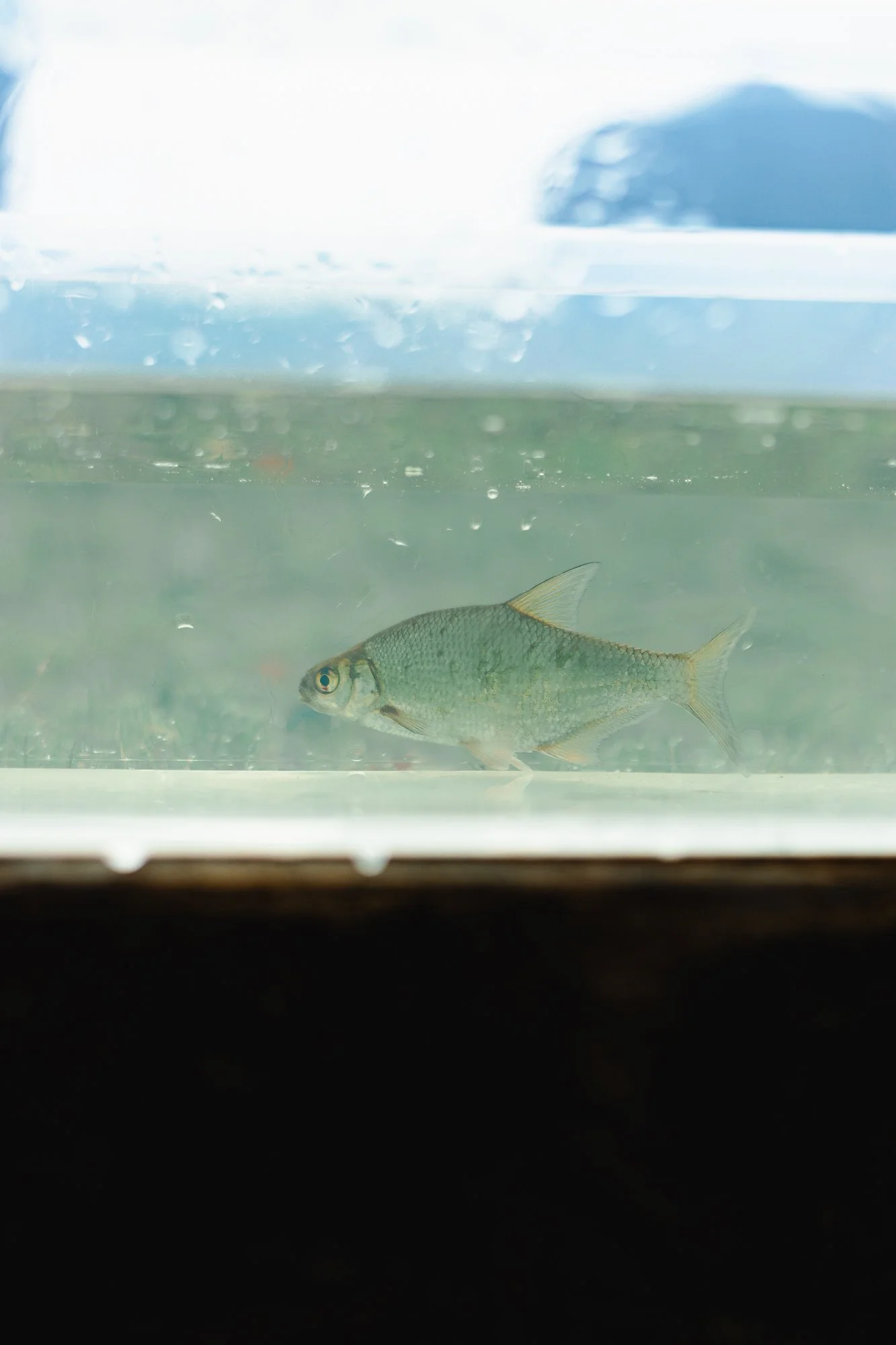 251013-18_FAKUgen_2000px-1556.jpg