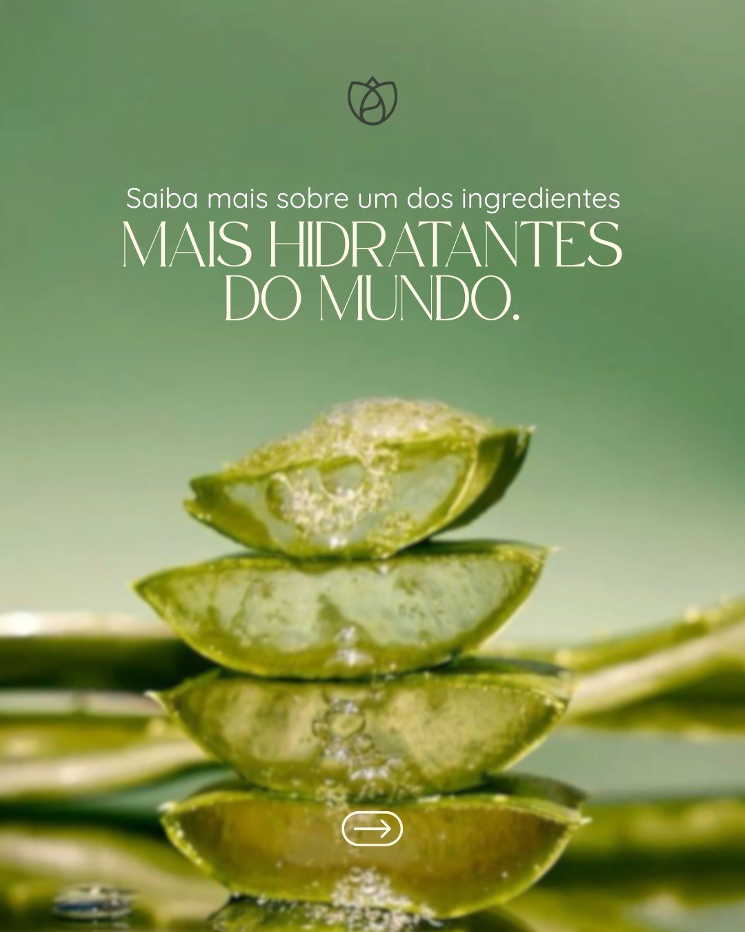 Aloe Vera, hidrata,  acalma, e regenera #mualaskincare