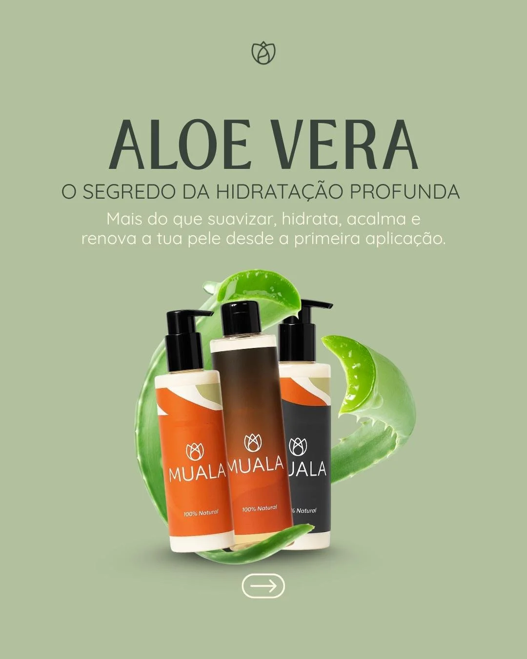 Aloe Vera: o segredo para uma pele hidratada, suave e radiante 🌿

Mais do que hidrata&ccedil;&atilde;o, cada aplica&ccedil;&atilde;o acalma, renova e transforma a tua pele, deixando-a leve e naturalmente luminosa.

Descobre a experi&ecirc;ncia Aloe 