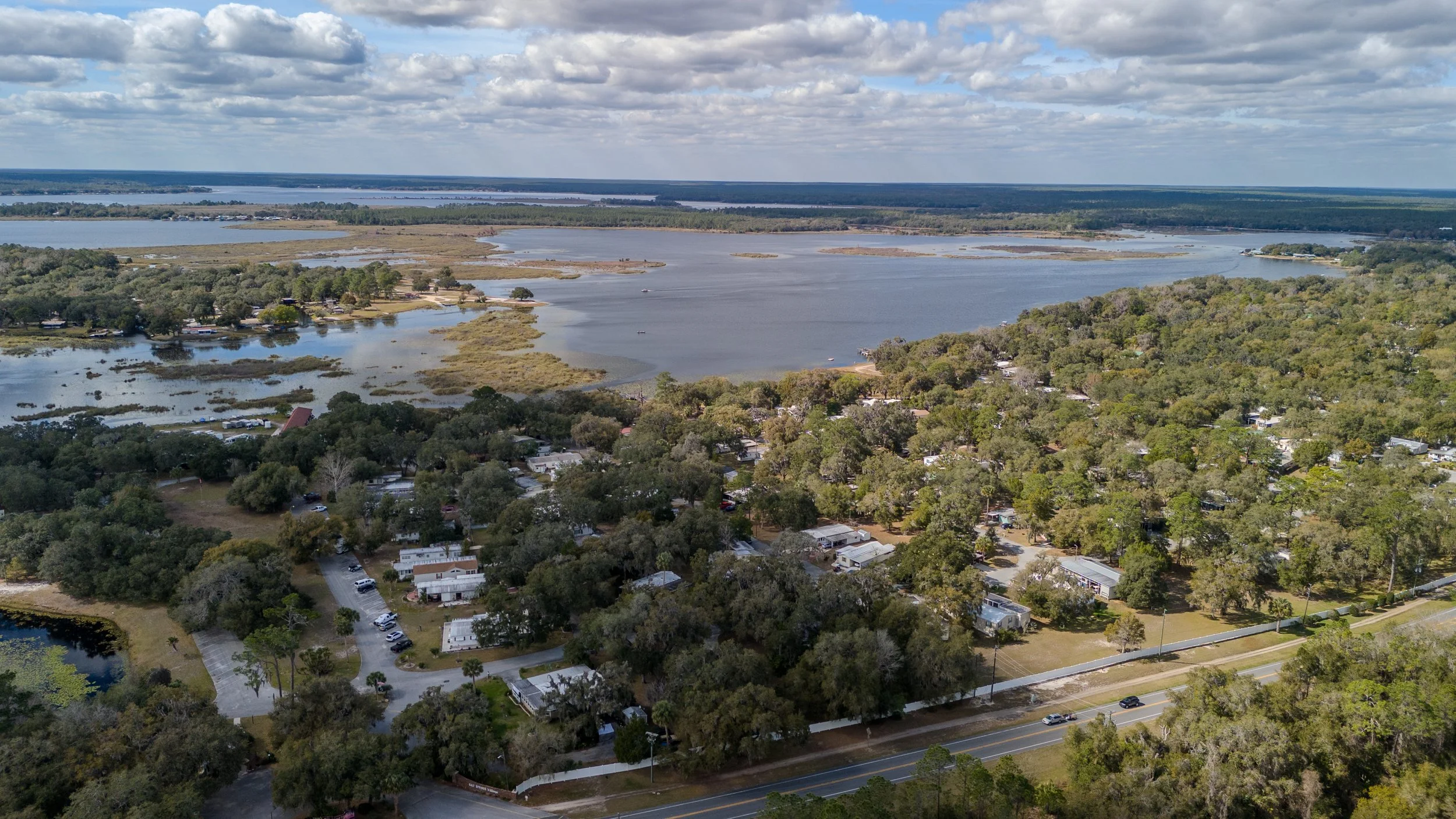 Salt Springs-03.jpg