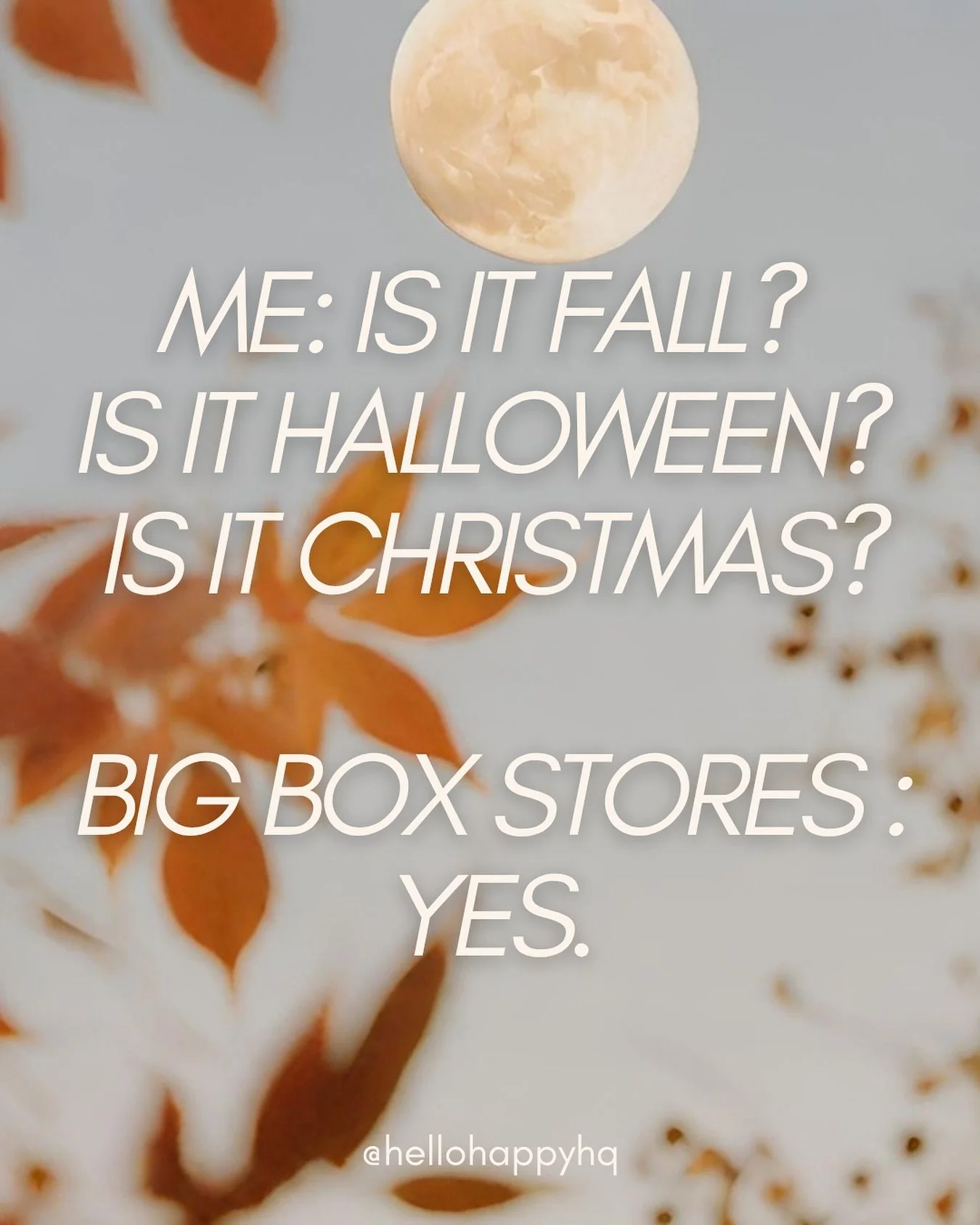 the seasonal confusion is real π«