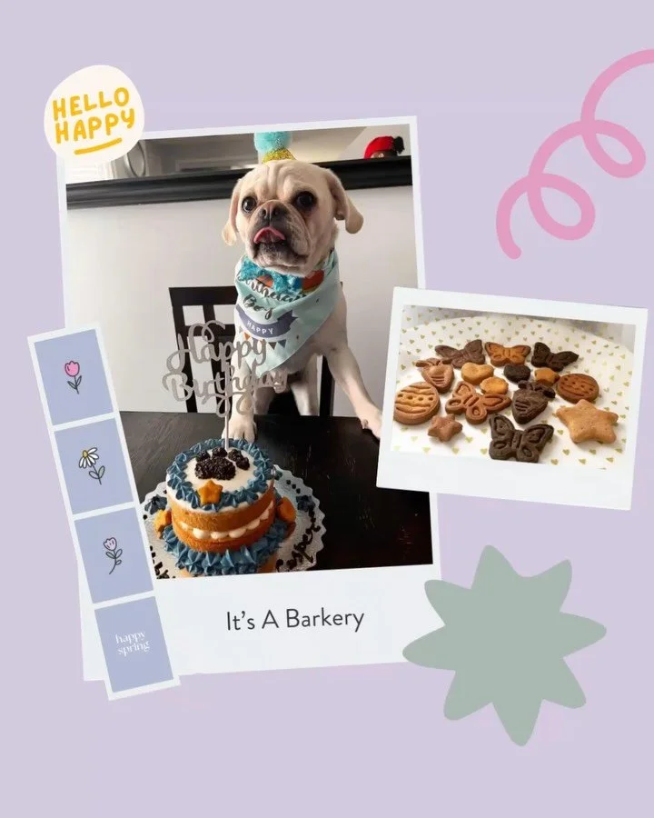 🌷meet the maker🌷
Creativity served fresh and small batch for the pups in your life, say hello to @itsabarkery 

🌷Happy Spring🌷
Sunday, May 3
11:00 AM - 4:00 PM
Shawn &amp; Ed Brewing Co
65 Hatt St, Dundas On
no admission, free parking, kid friend
