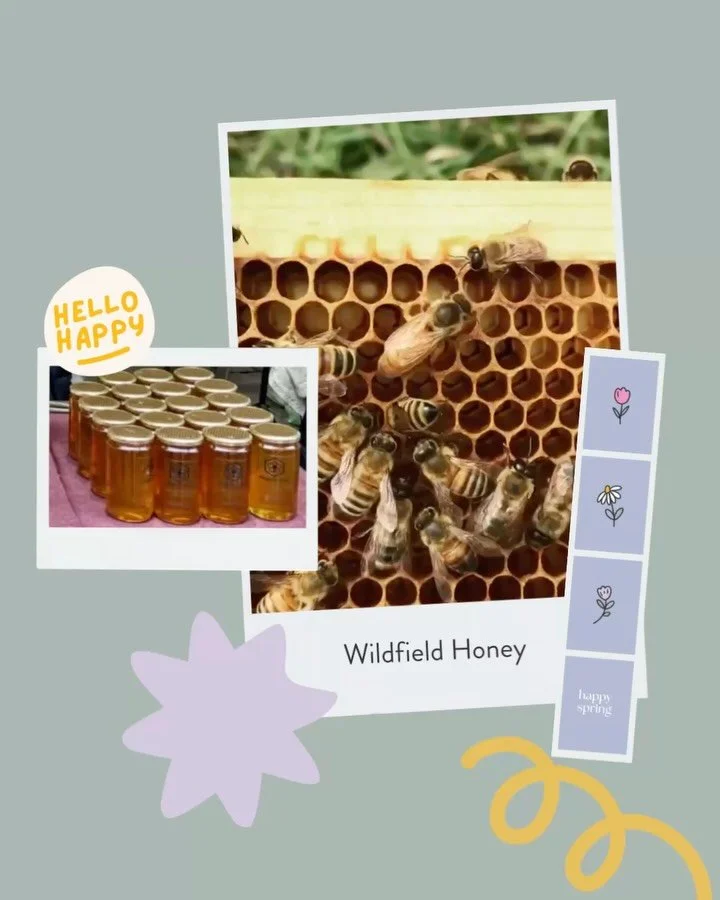 🌷meet the maker🌷
 The kind of honey you &ldquo;accidentally&rdquo; buy twice, say hello to @wildfield_honey 

🌷Happy Spring🌷
Sunday, May 3
11:00 AM - 4:00 PM
Shawn &amp; Ed Brewing Co
65 Hatt St, Dundas On
no admission, free parking, kid friendly