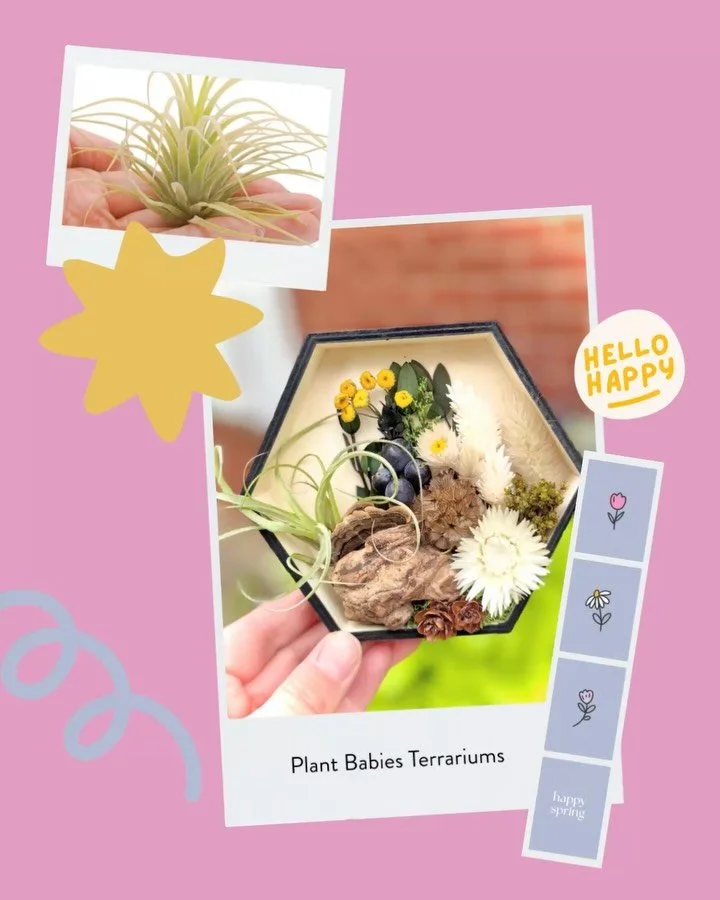 🌷meet the maker🌷
Crafted by hand and made with love, pieces that are as unique as the people who take them home, say hello to @plant.babies.terrariums 

🌷Happy Spring🌷
Sunday, May 3
11:00 AM - 4:00 PM
Shawn &amp; Ed Brewing Co
65 Hatt St, Dundas 