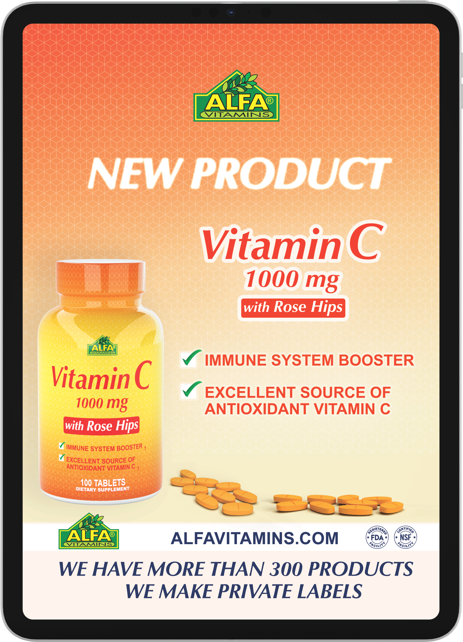 Vitamin C Rose Hips Flyer Mockup.png