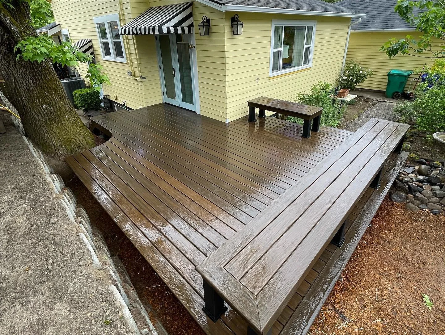 🌳some breathing room for this tree..