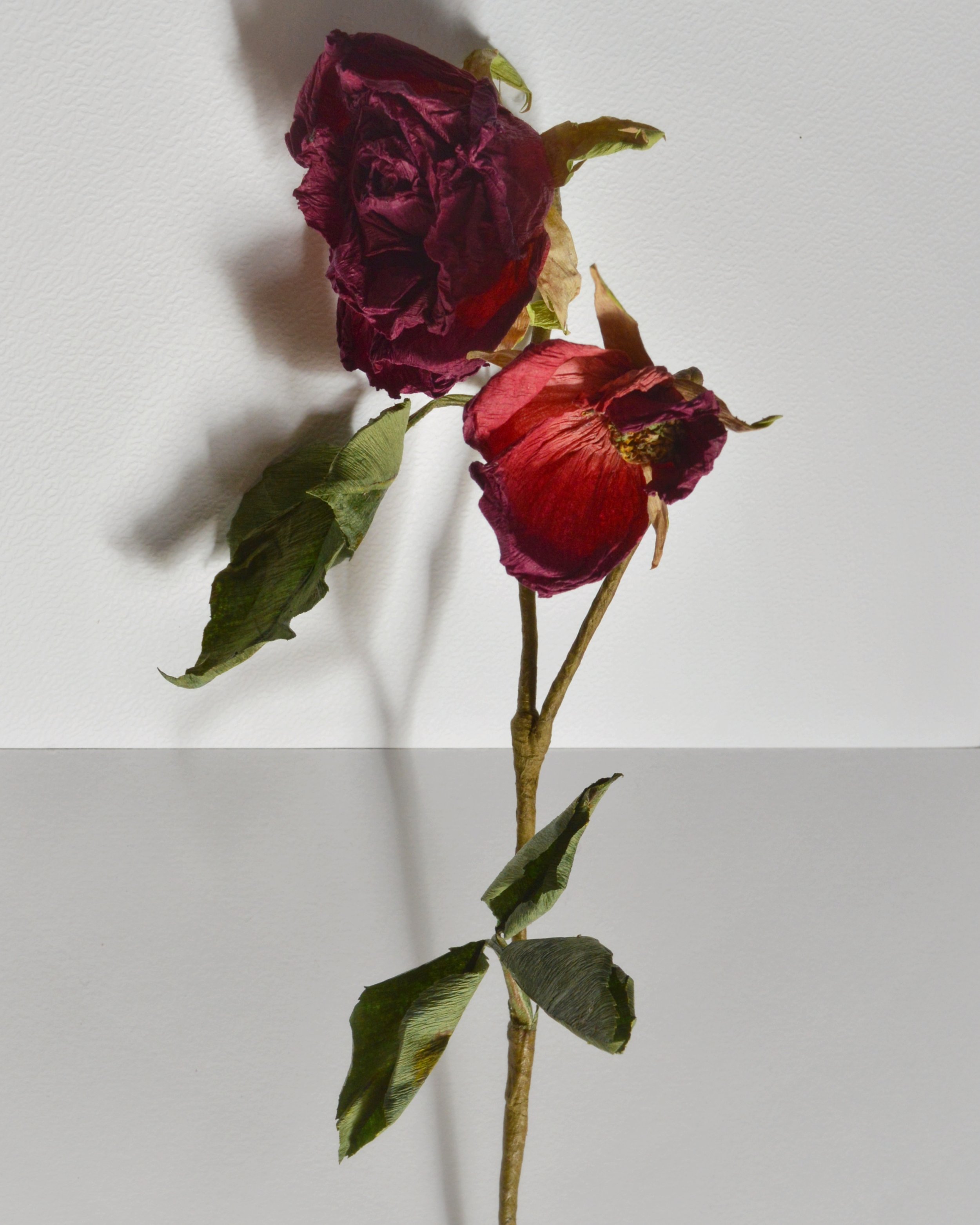 DSC_0932-01.jpeg