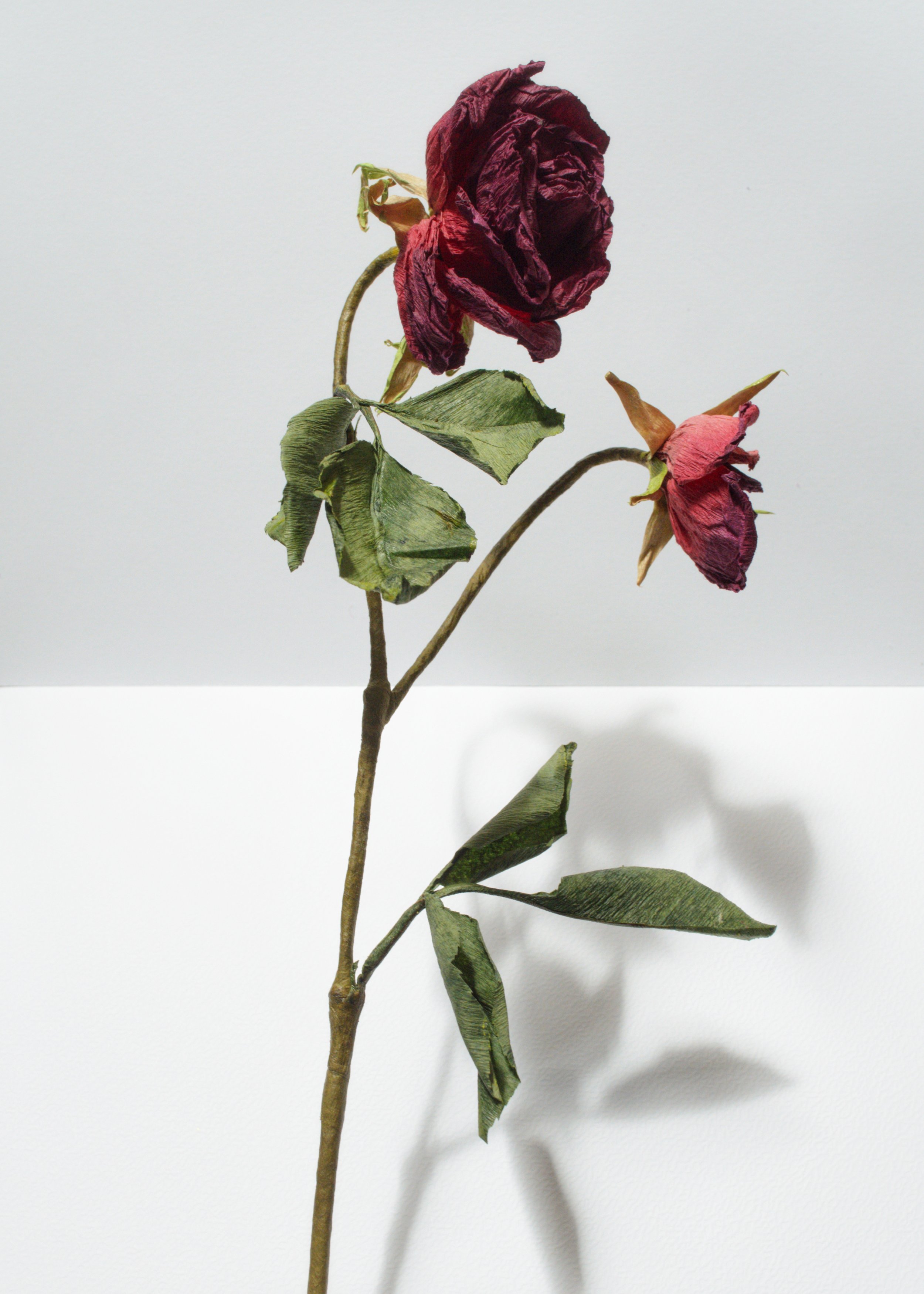 DSC_0919-03.jpeg