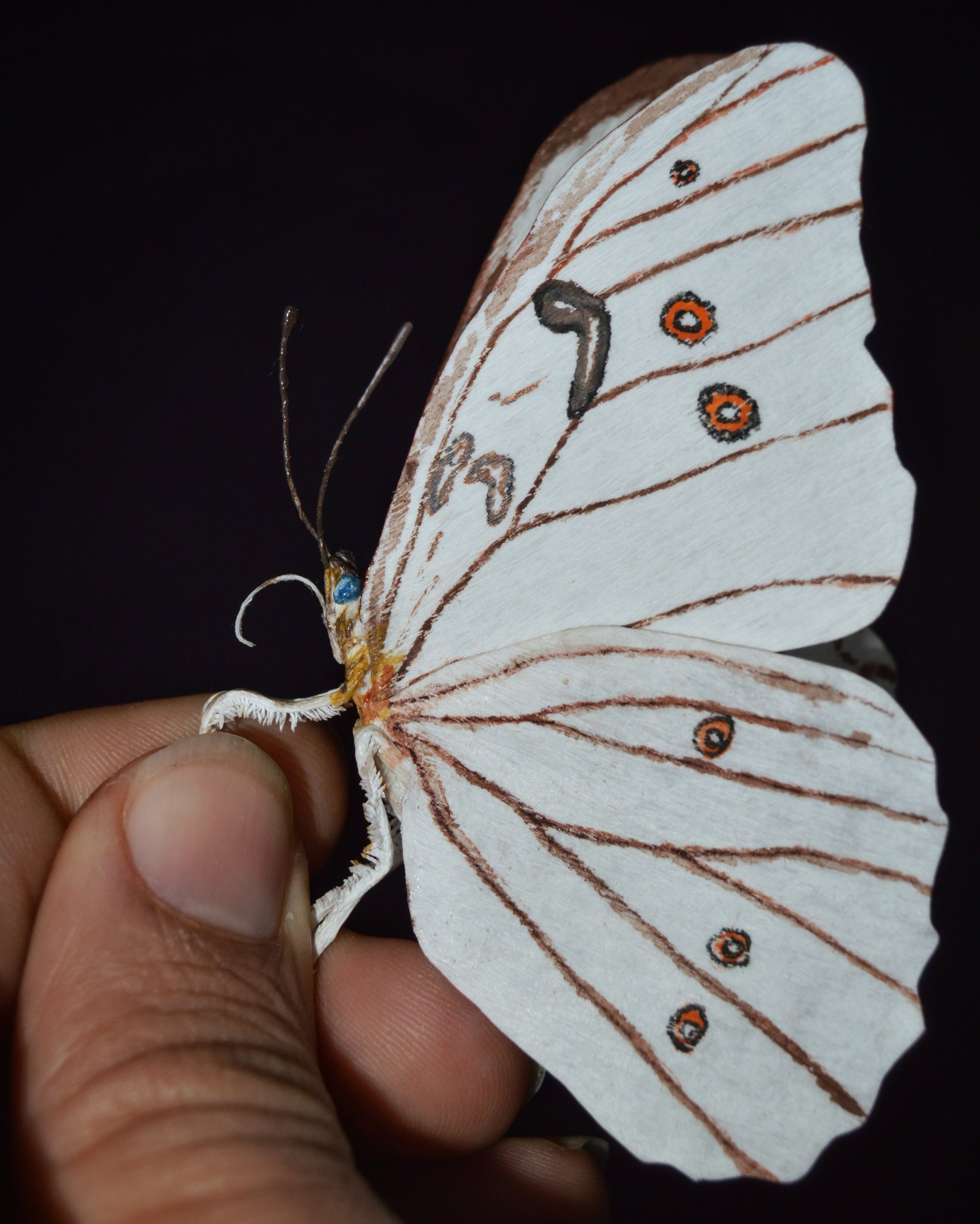 DSC_0547-02.jpeg