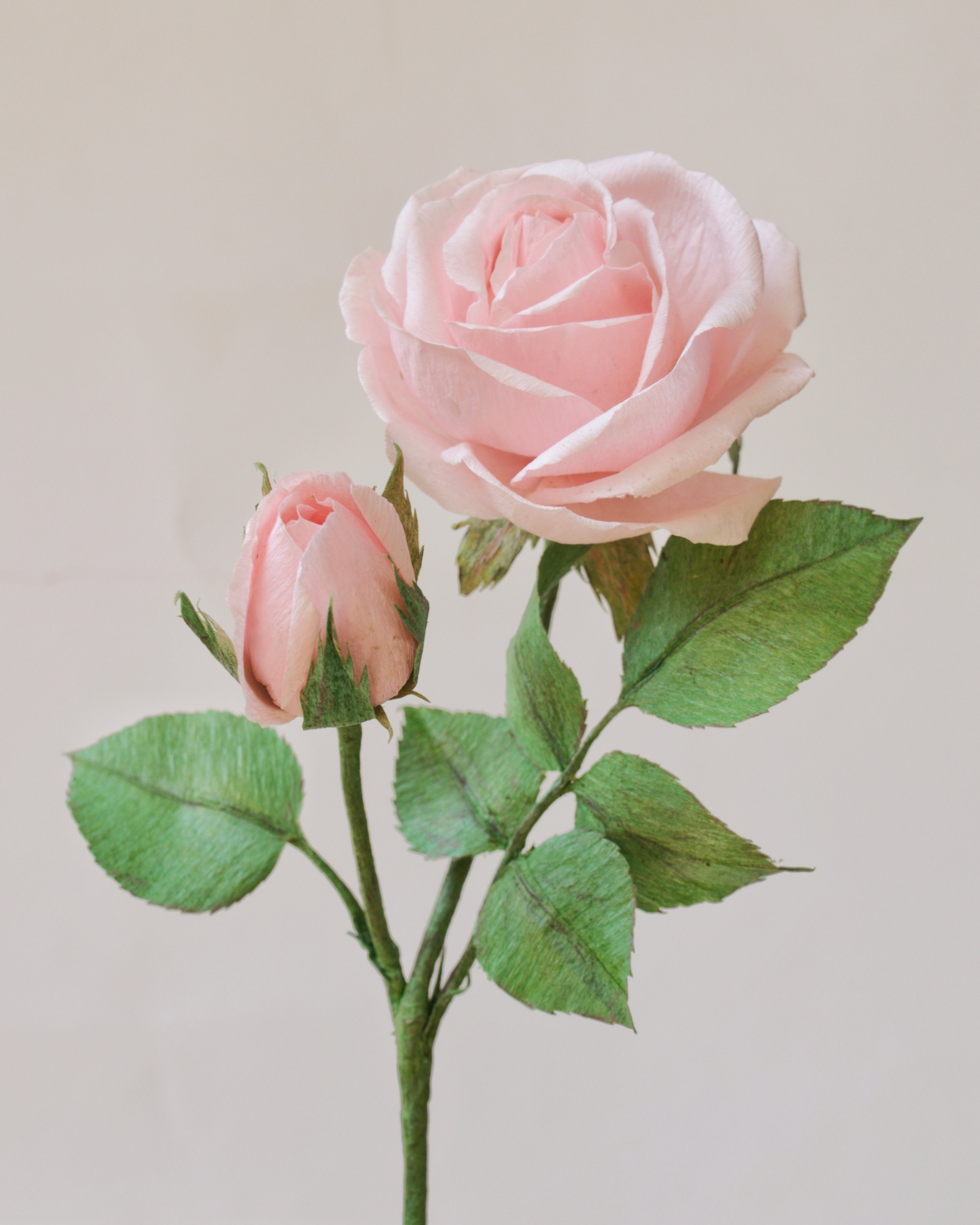 DSC_0734-05.jpeg