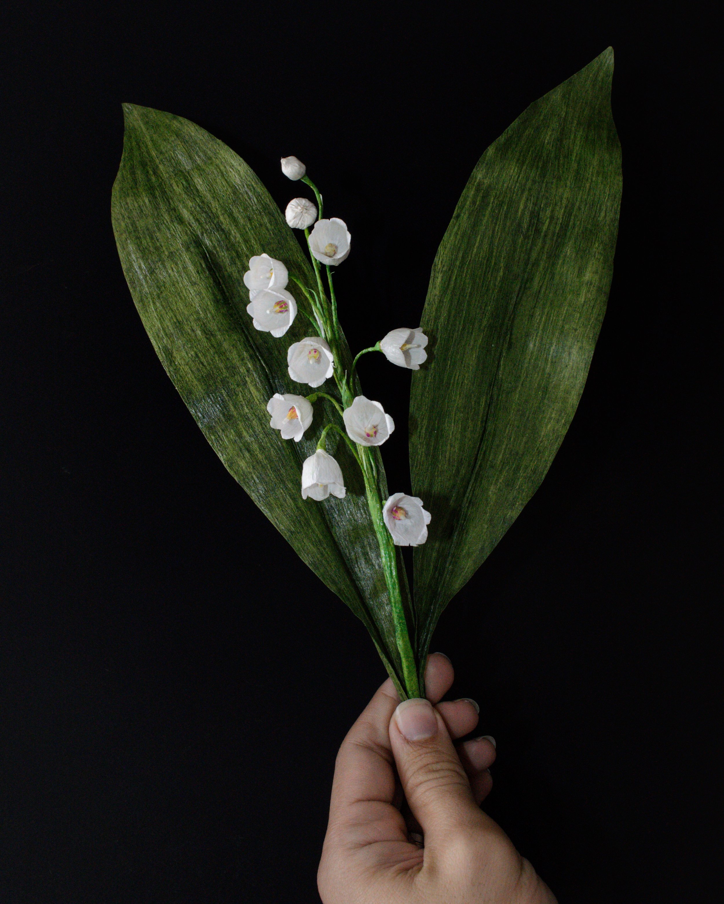 DSC_0648-05.jpeg