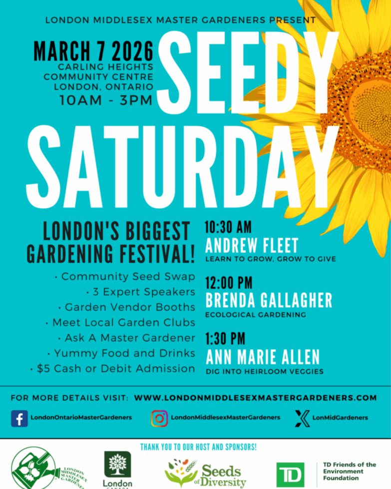 Seedy Saturday