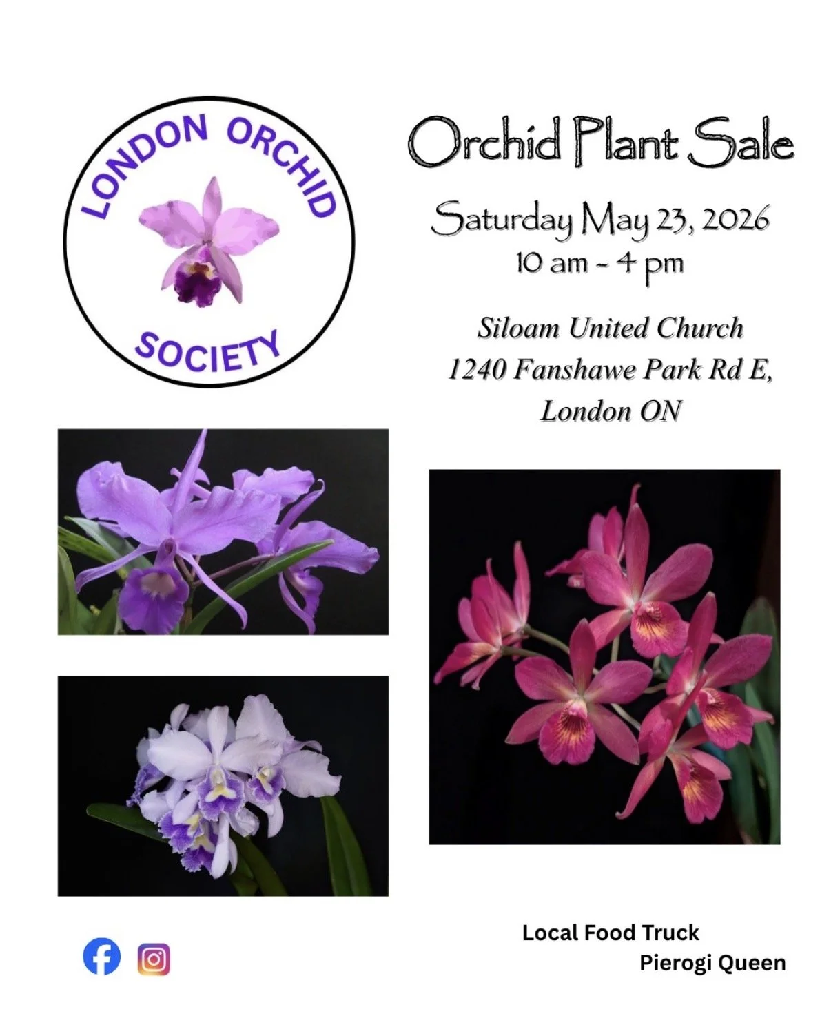 London Orchid Society - Plant Sale