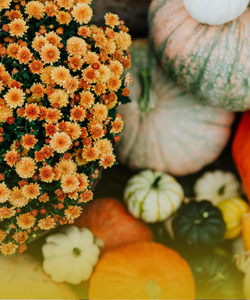 The Season of Gratefulness