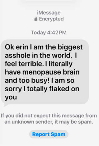 Screenshot of a text scam