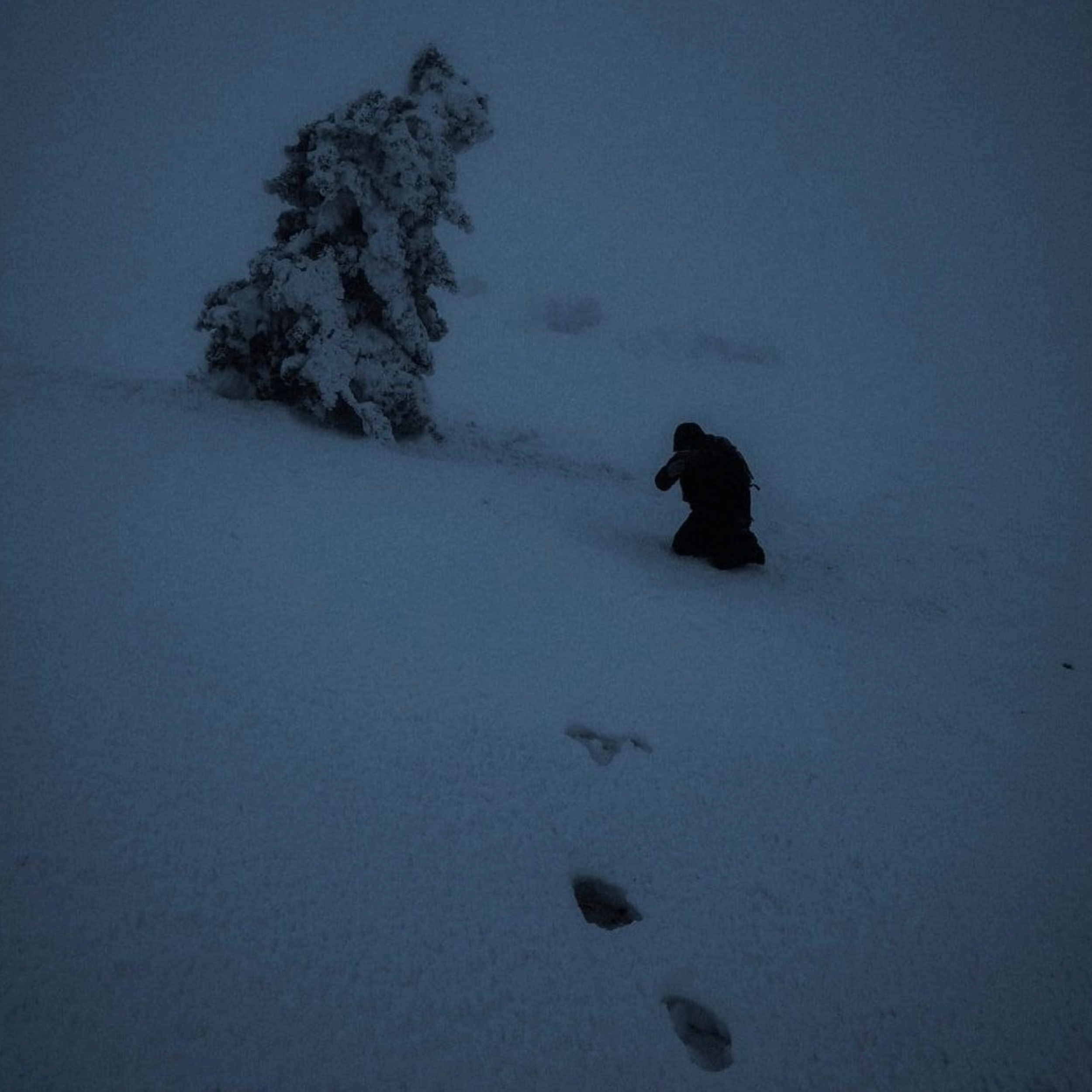 Ice Crossing - McKenzie Hills