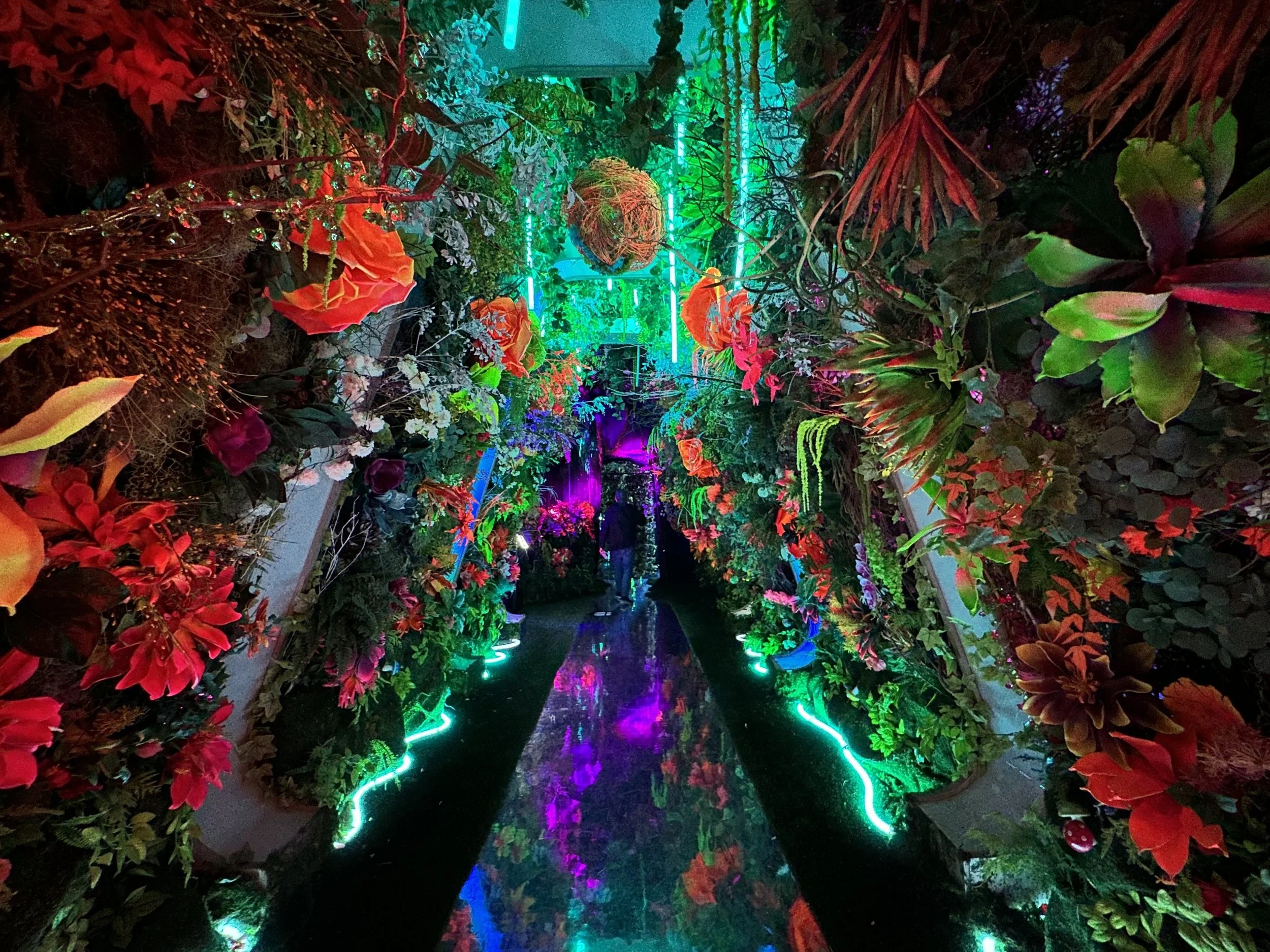 Psychedelic Garden